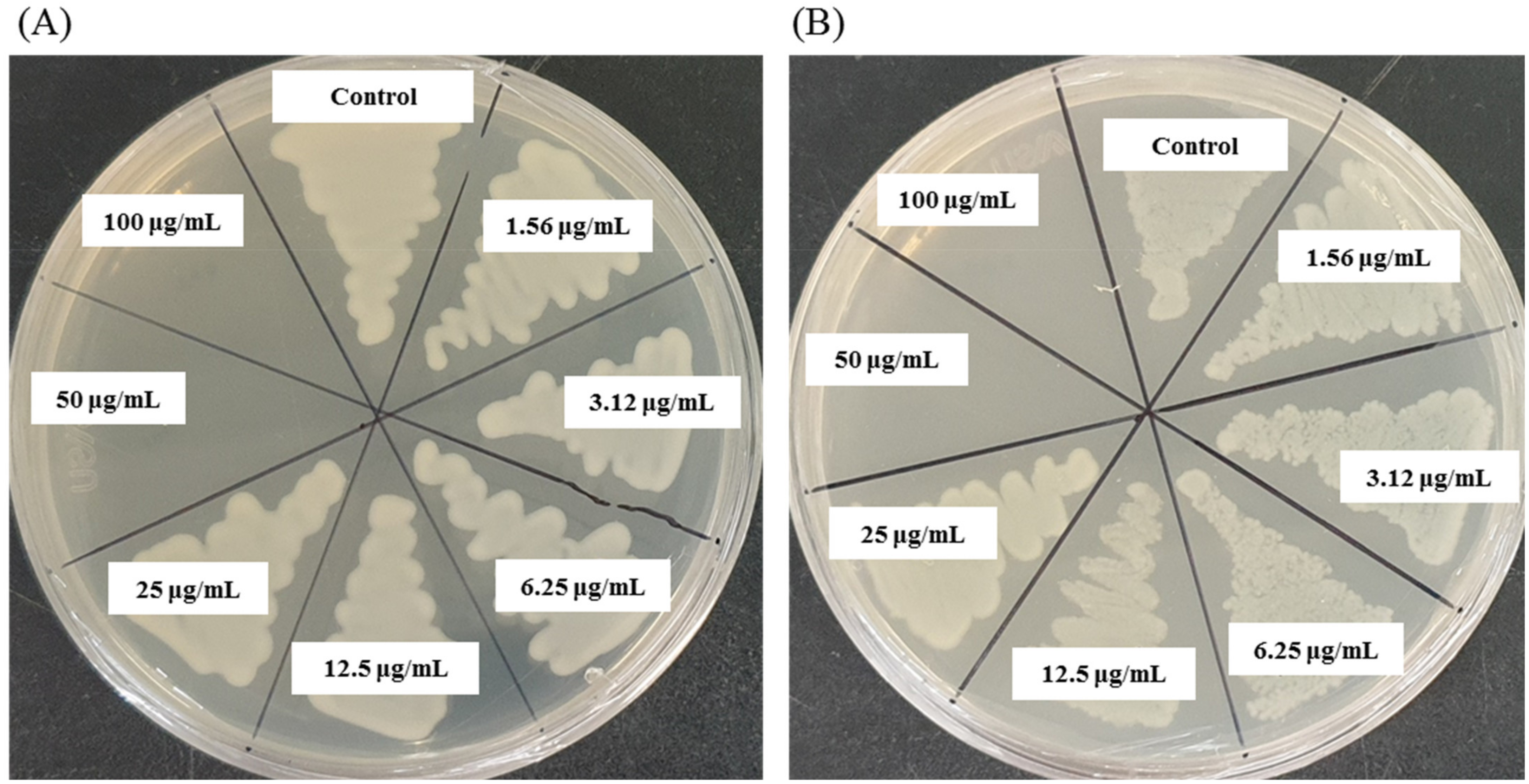 Molecules 26 05996 g008