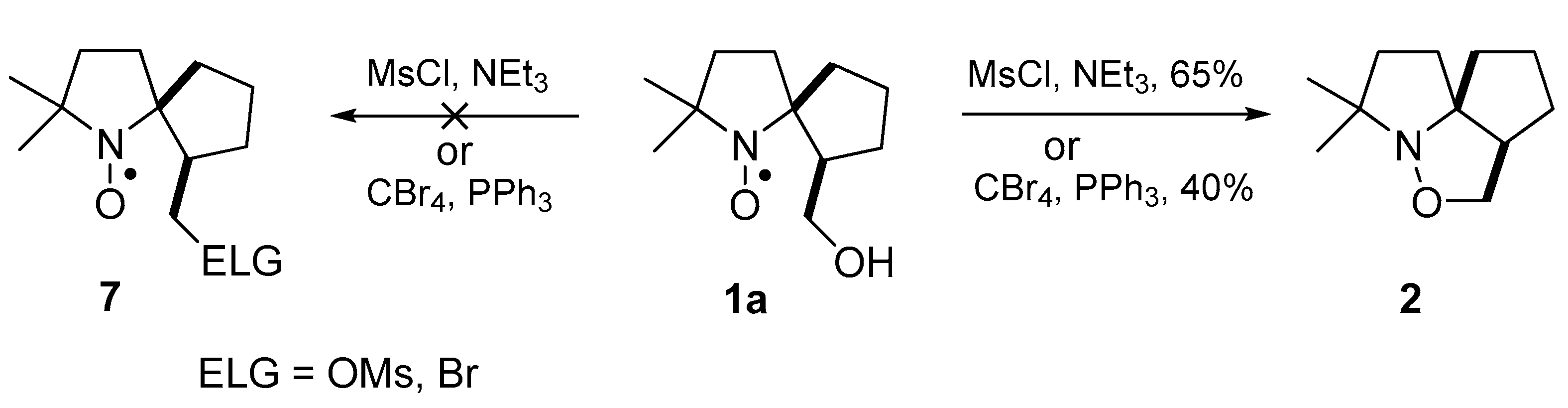 Molecules 26 06000 sch002