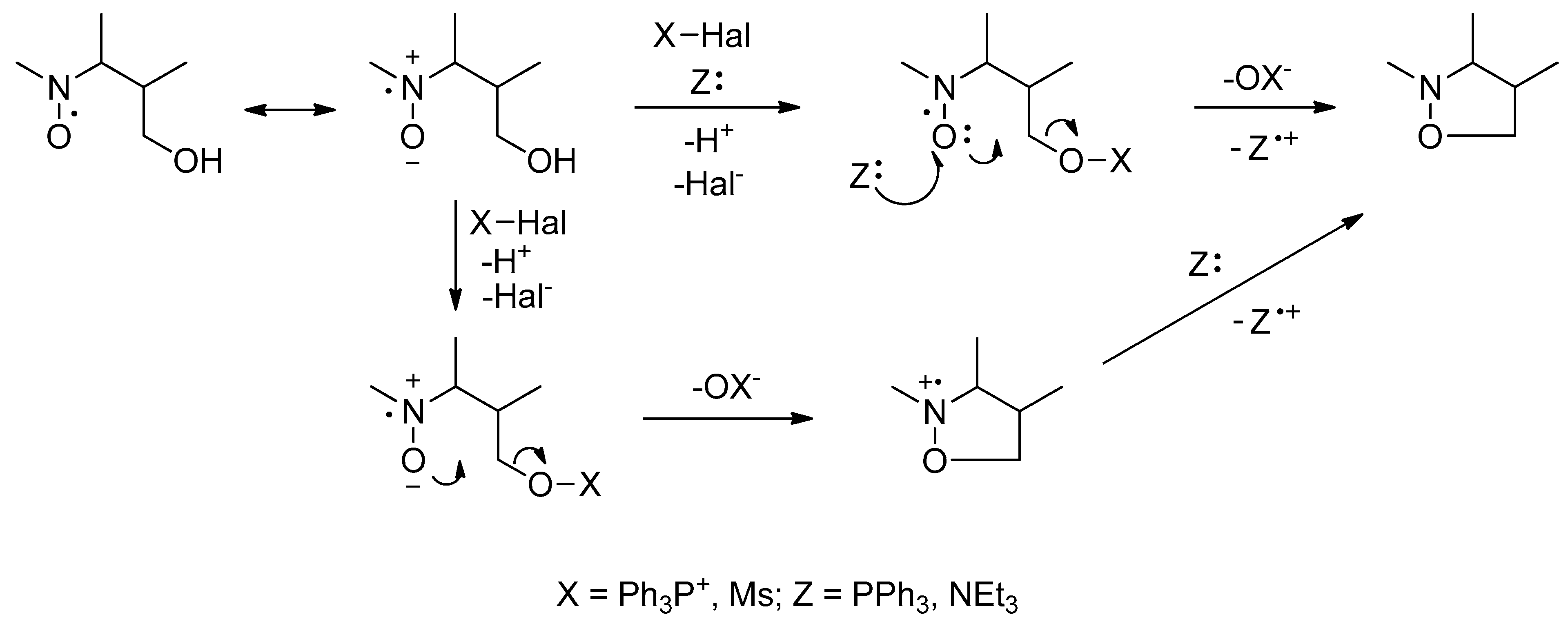 Molecules 26 06000 sch003