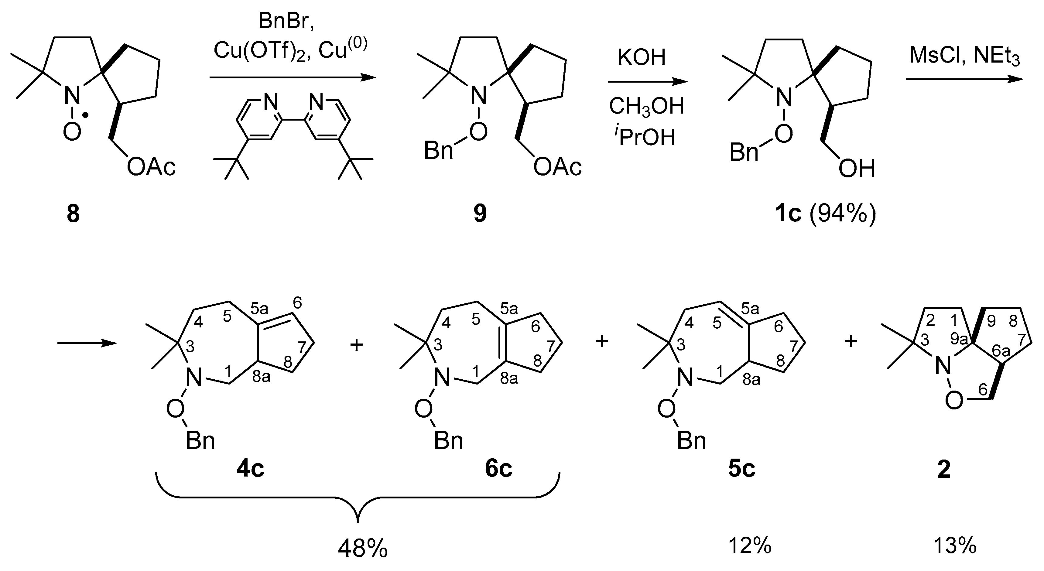 Molecules 26 06000 sch004