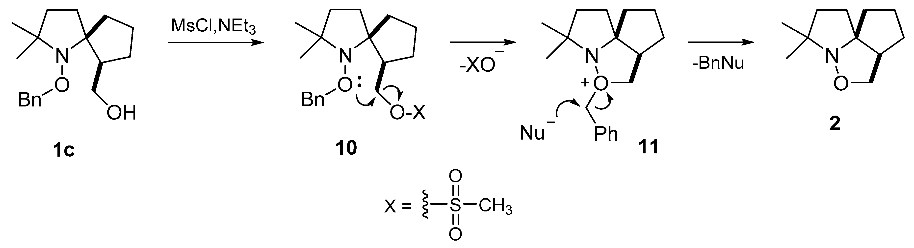 Molecules 26 06000 sch005