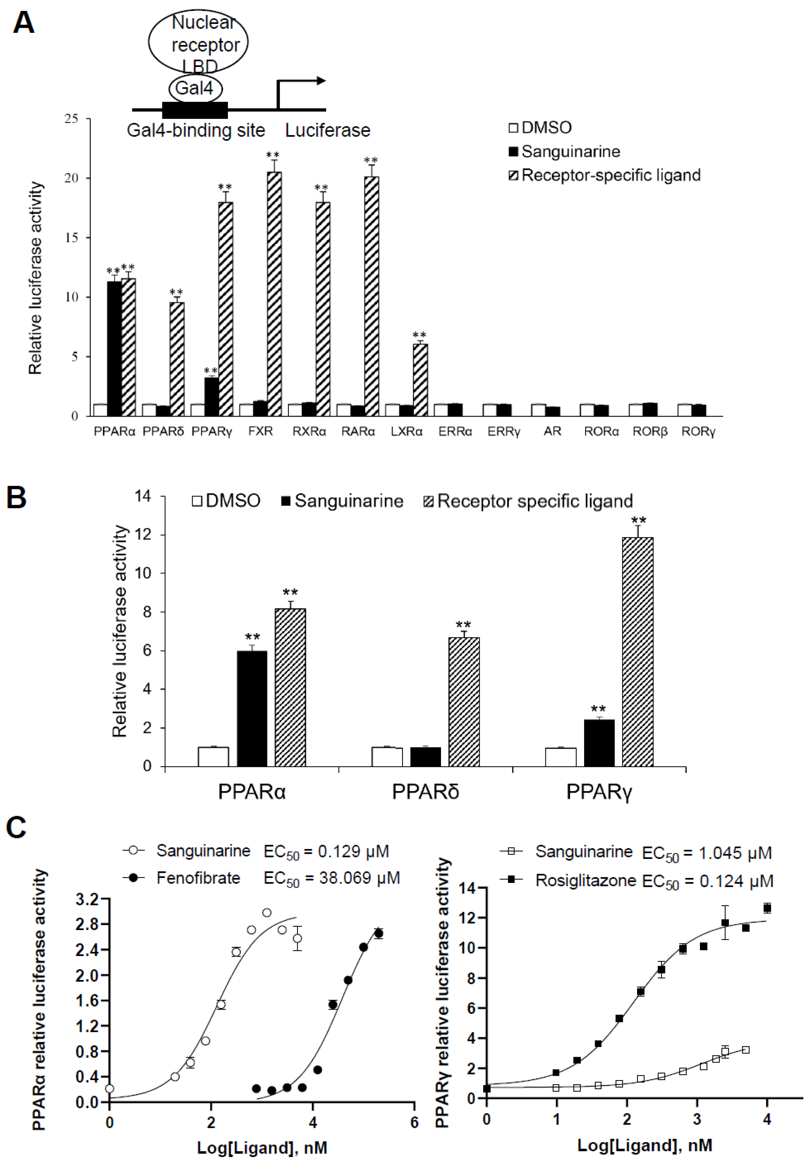 Molecules 26 06012 g001