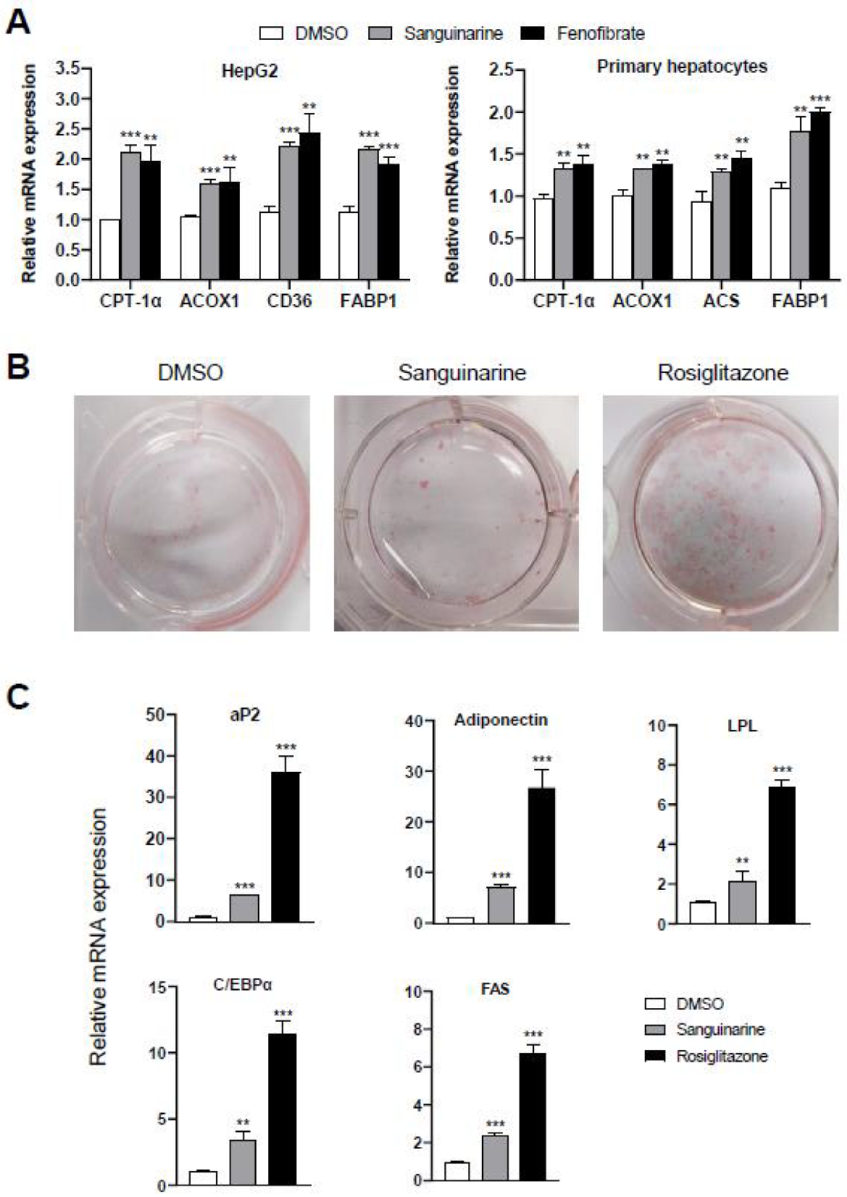 Molecules 26 06012 g003