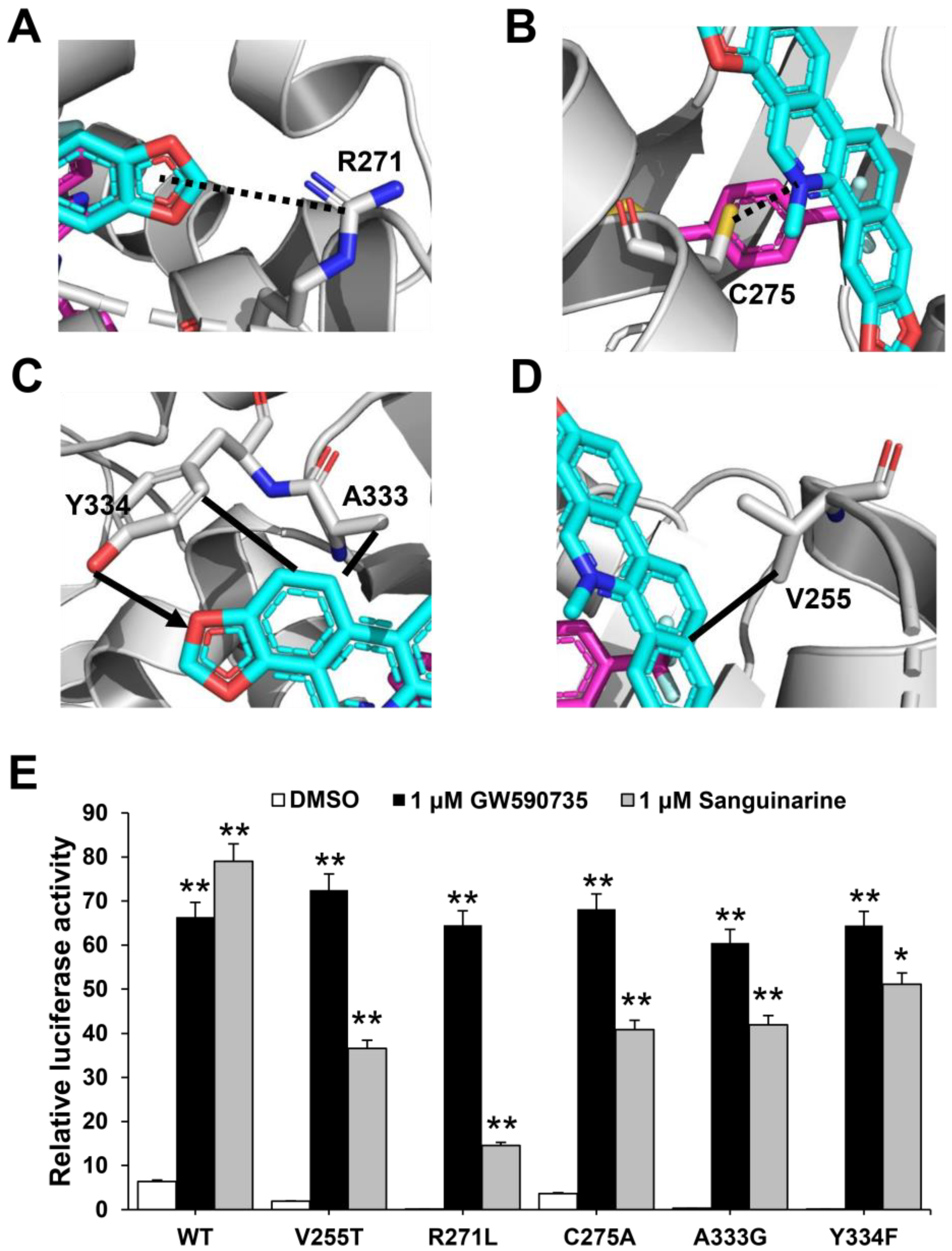 Molecules 26 06012 g005