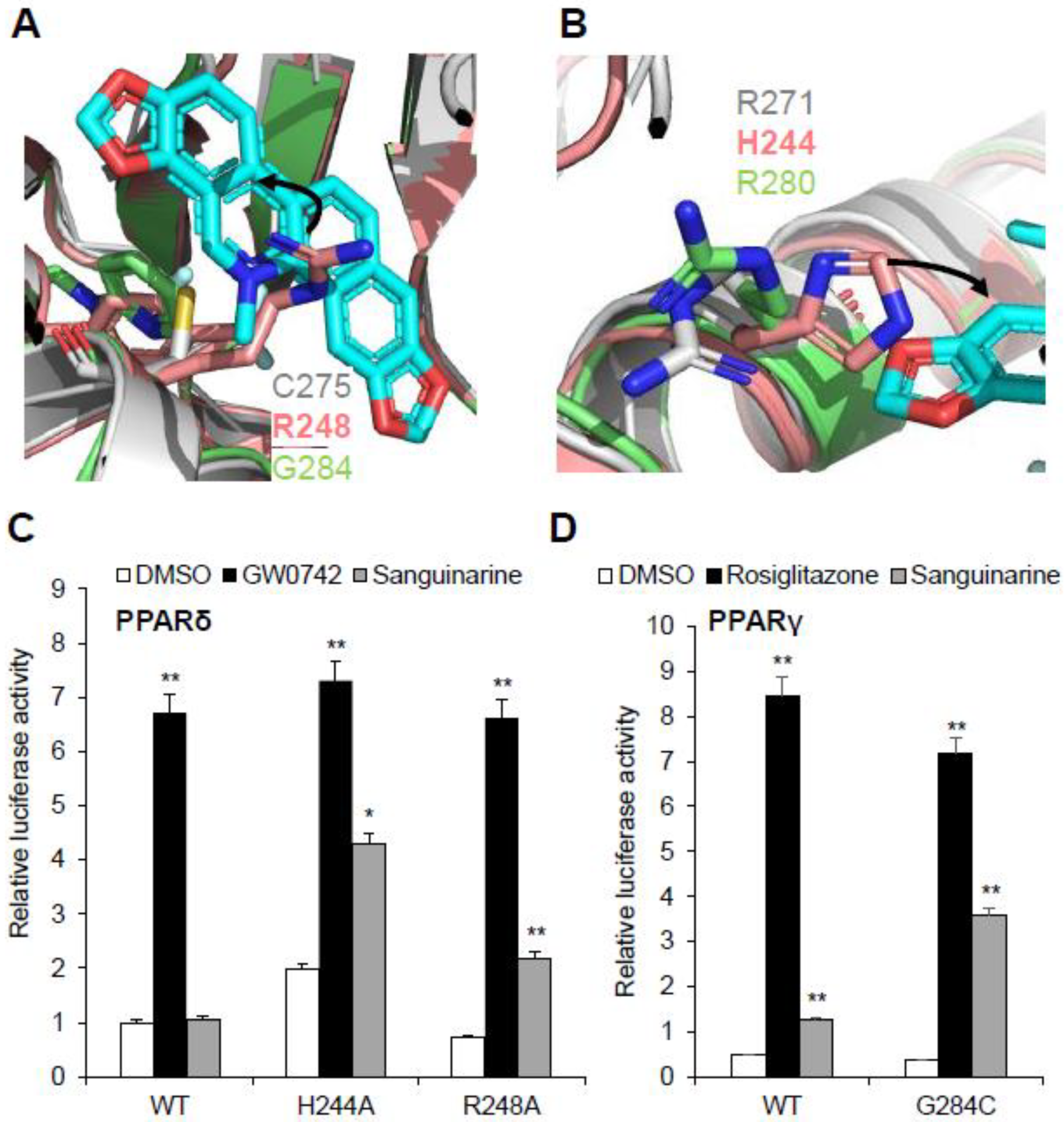 Molecules 26 06012 g007