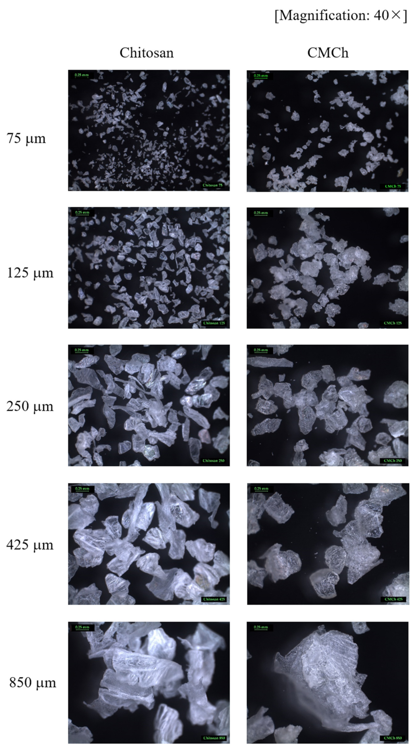Molecules 26 06013 g002 Molecules 26 06013 g002