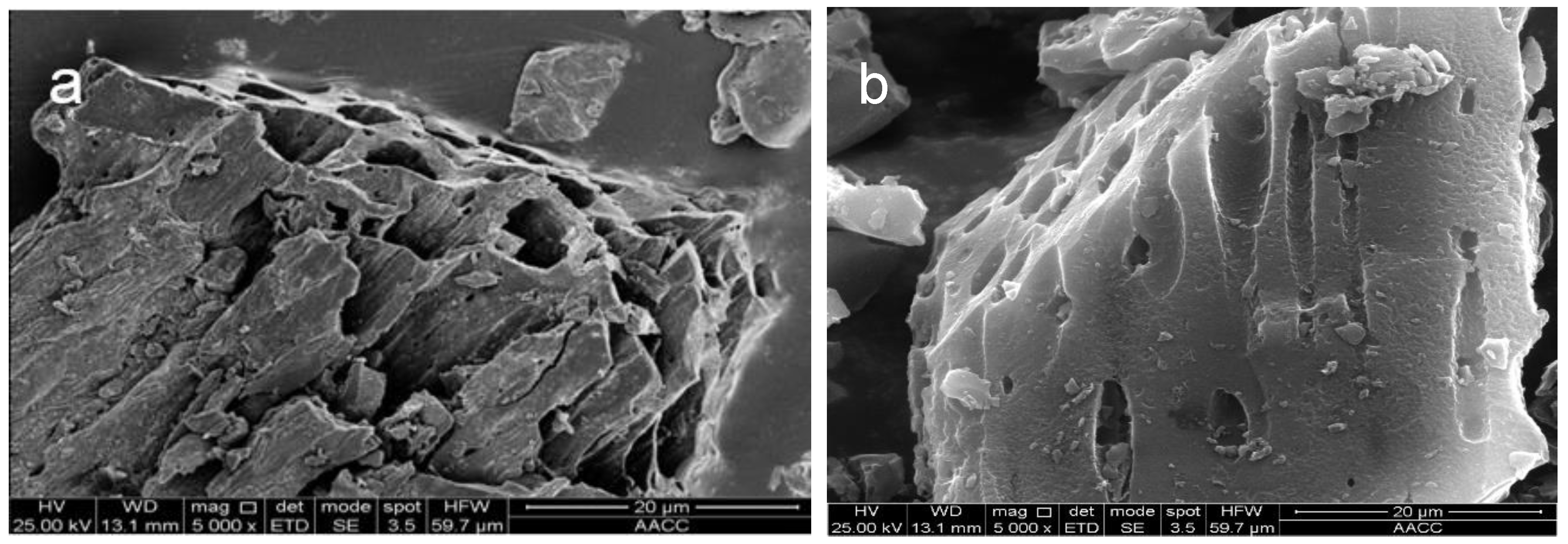 Molecules 26 06014 g002a
