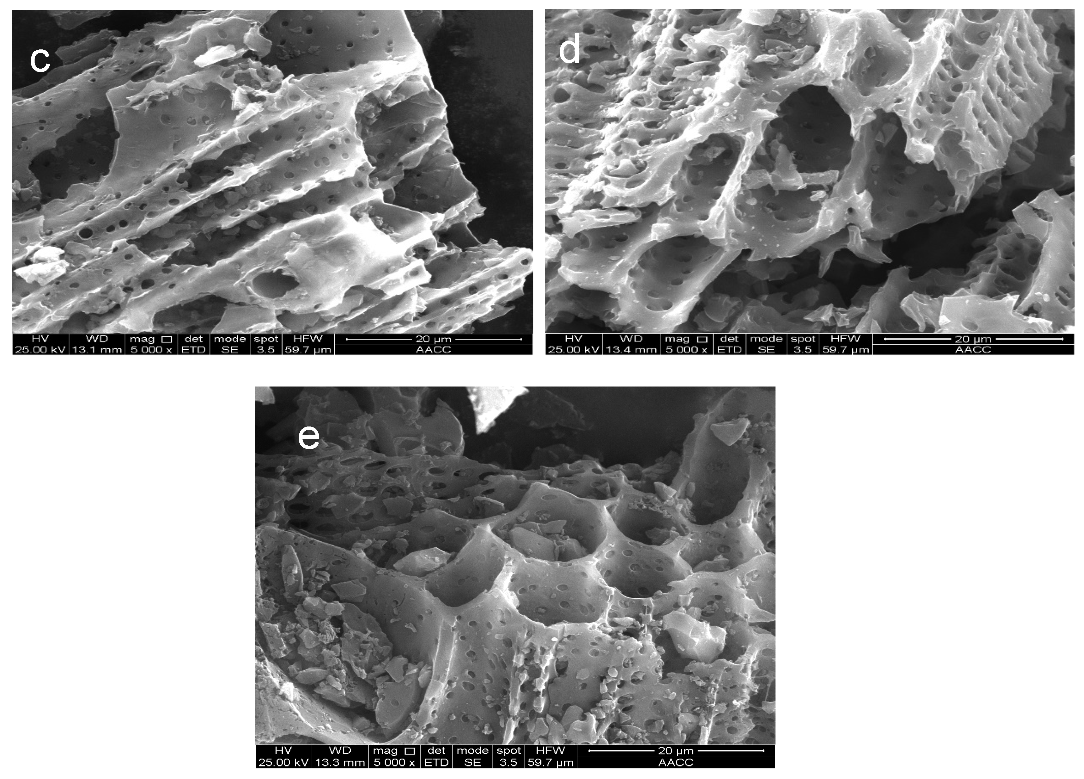 Molecules 26 06014 g002b