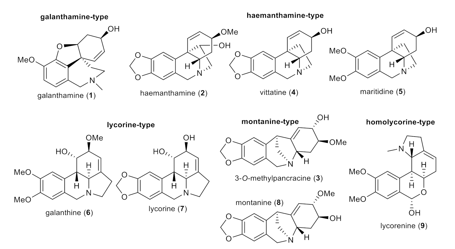 Molecules 26 06023 g004