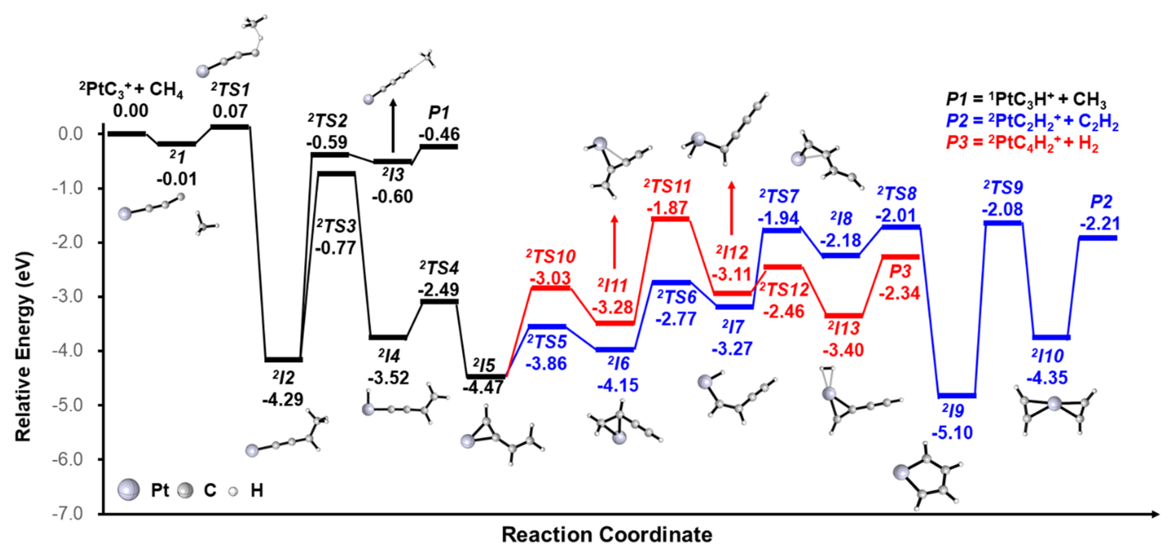 Molecules 26 06028 g003