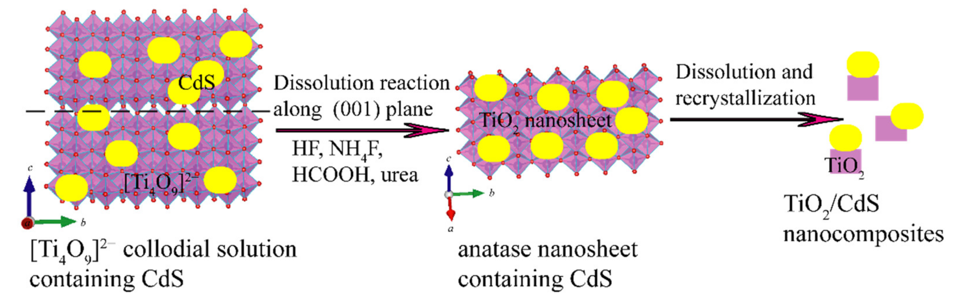 Molecules 26 06031 g001