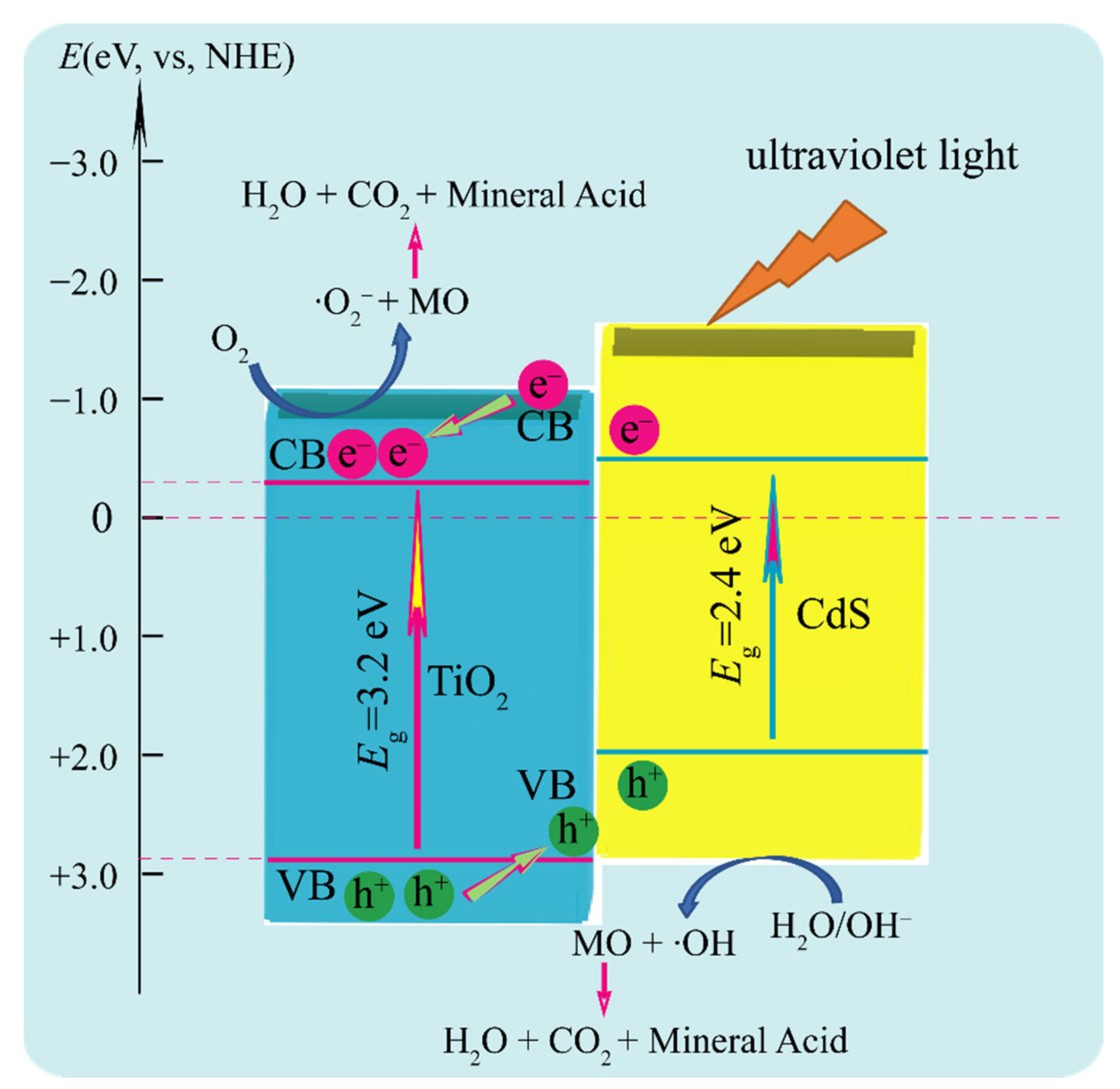 Molecules 26 06031 g010