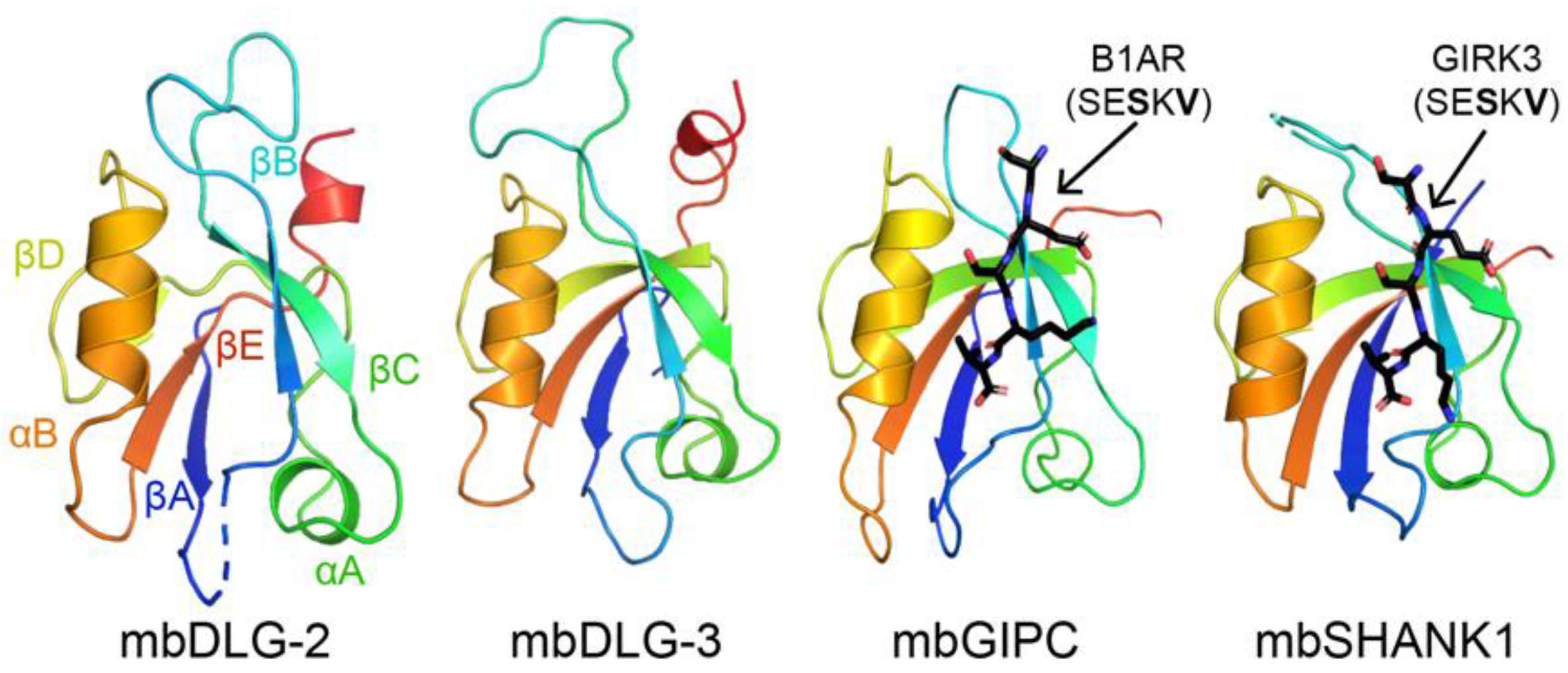 Molecules 26 06034 g001 Molecules 26 06034 g001
