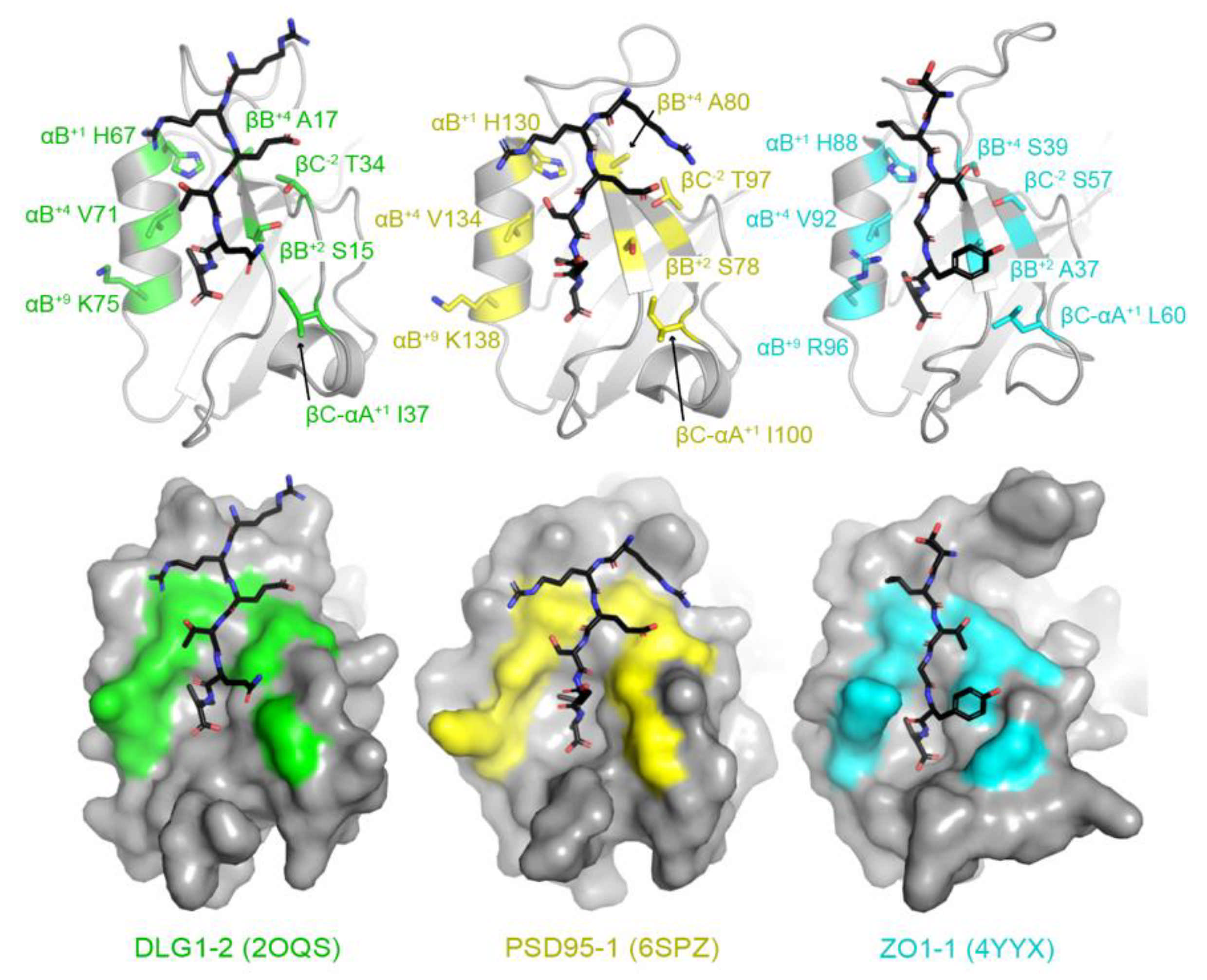 Molecules 26 06034 g002 Molecules 26 06034 g002