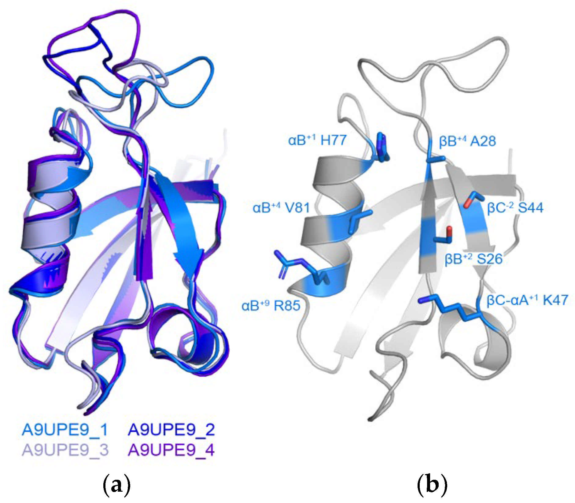 Molecules 26 06034 g003 Molecules 26 06034 g003