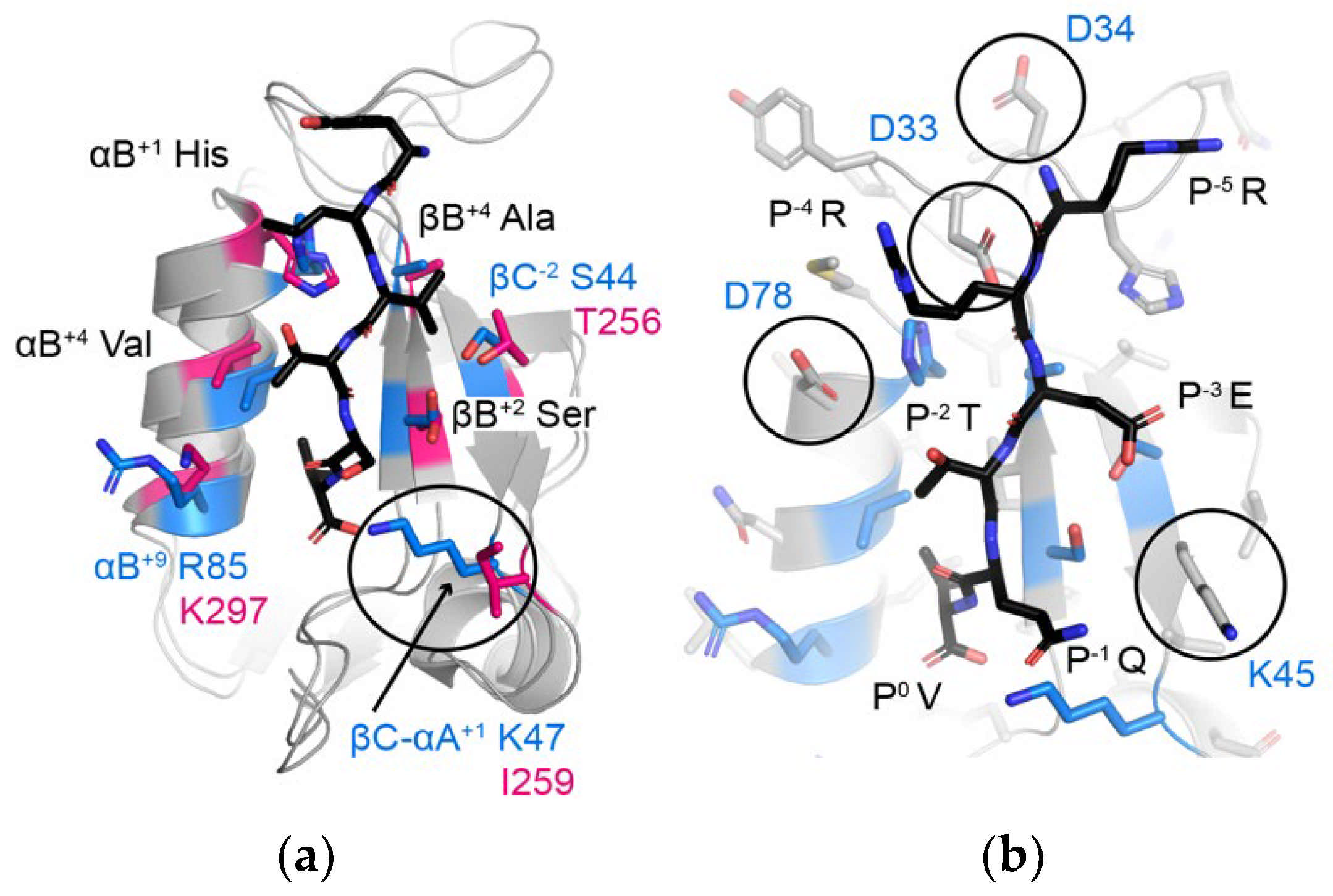 Molecules 26 06034 g007 Molecules 26 06034 g007