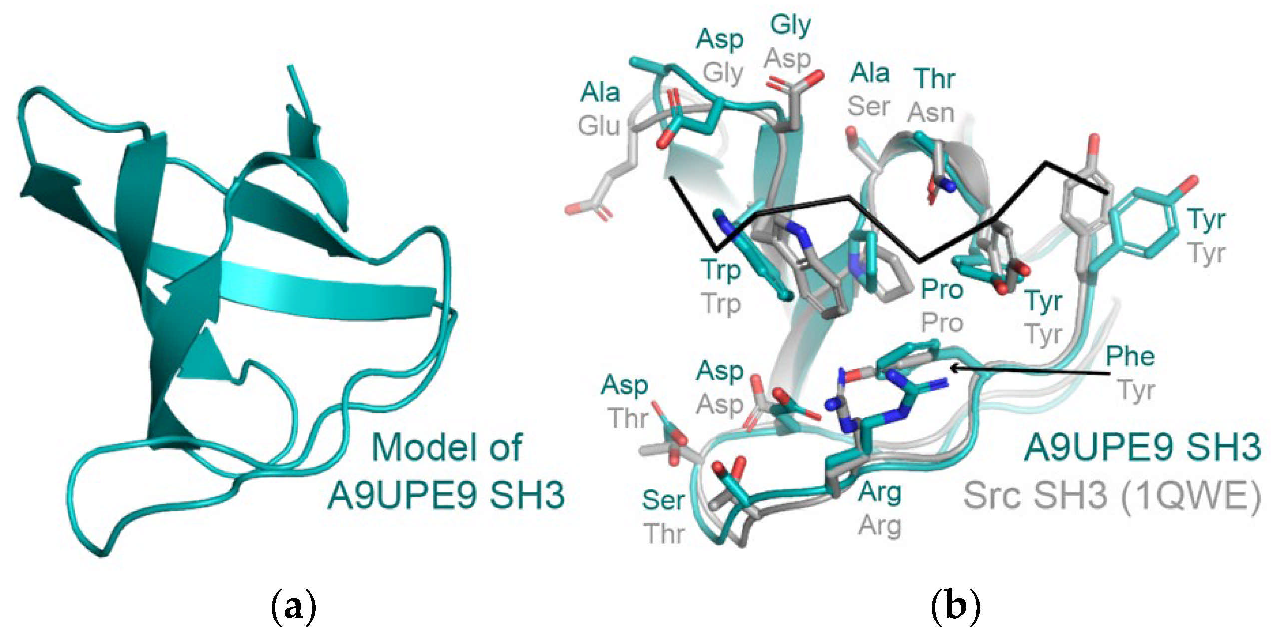 Molecules 26 06034 g008 Molecules 26 06034 g008