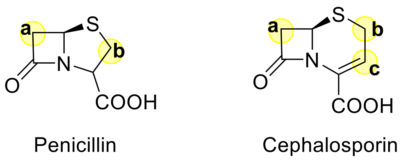Molecules 26 06035 g001