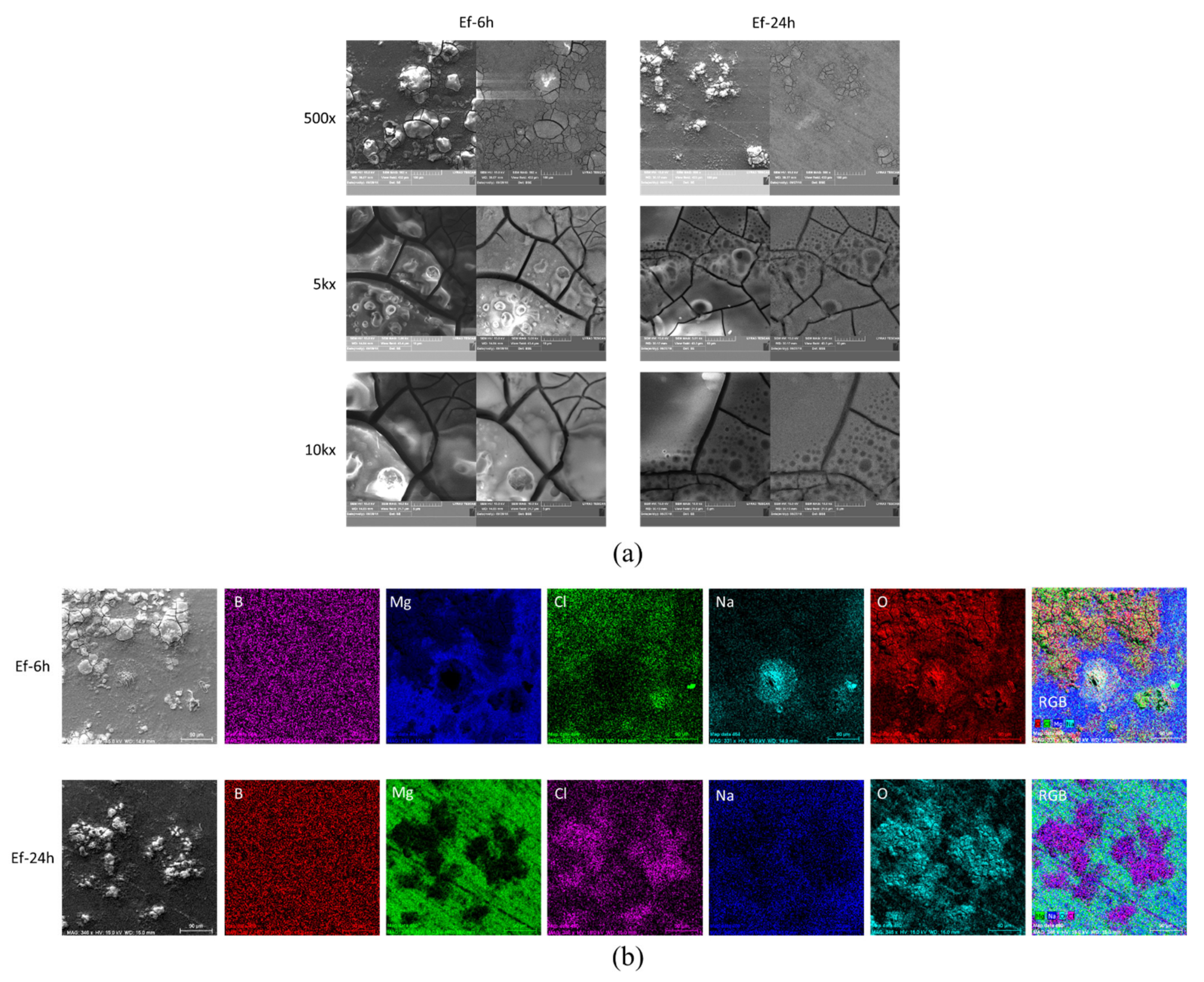 Molecules 26 06045 g006