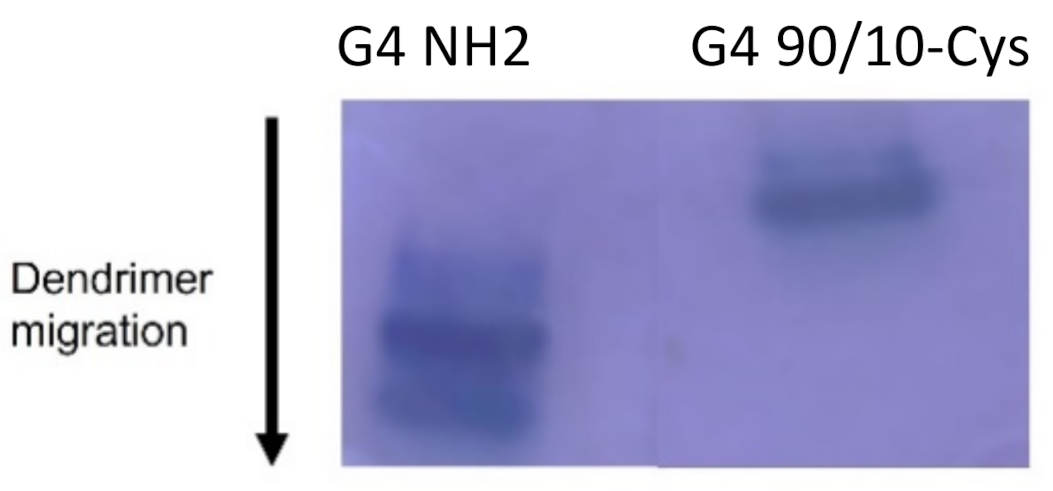 Molecules 26 06050 g003