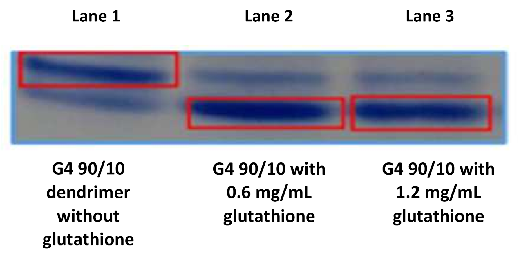 Molecules 26 06050 g005