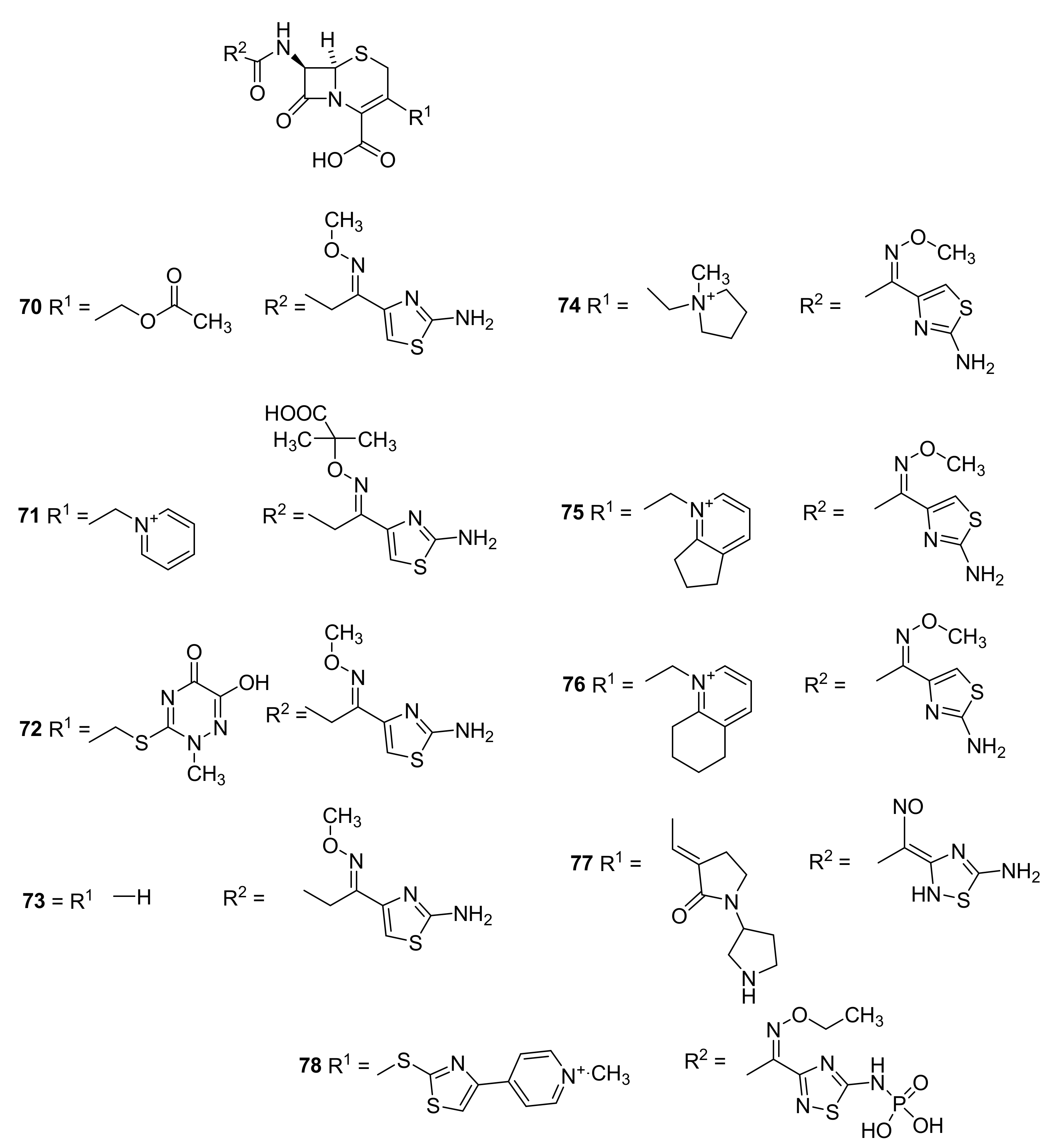Molecules 26 06057 g017