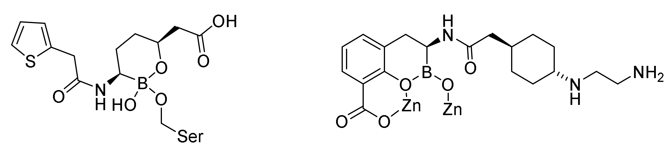 Molecules 26 06057 g025