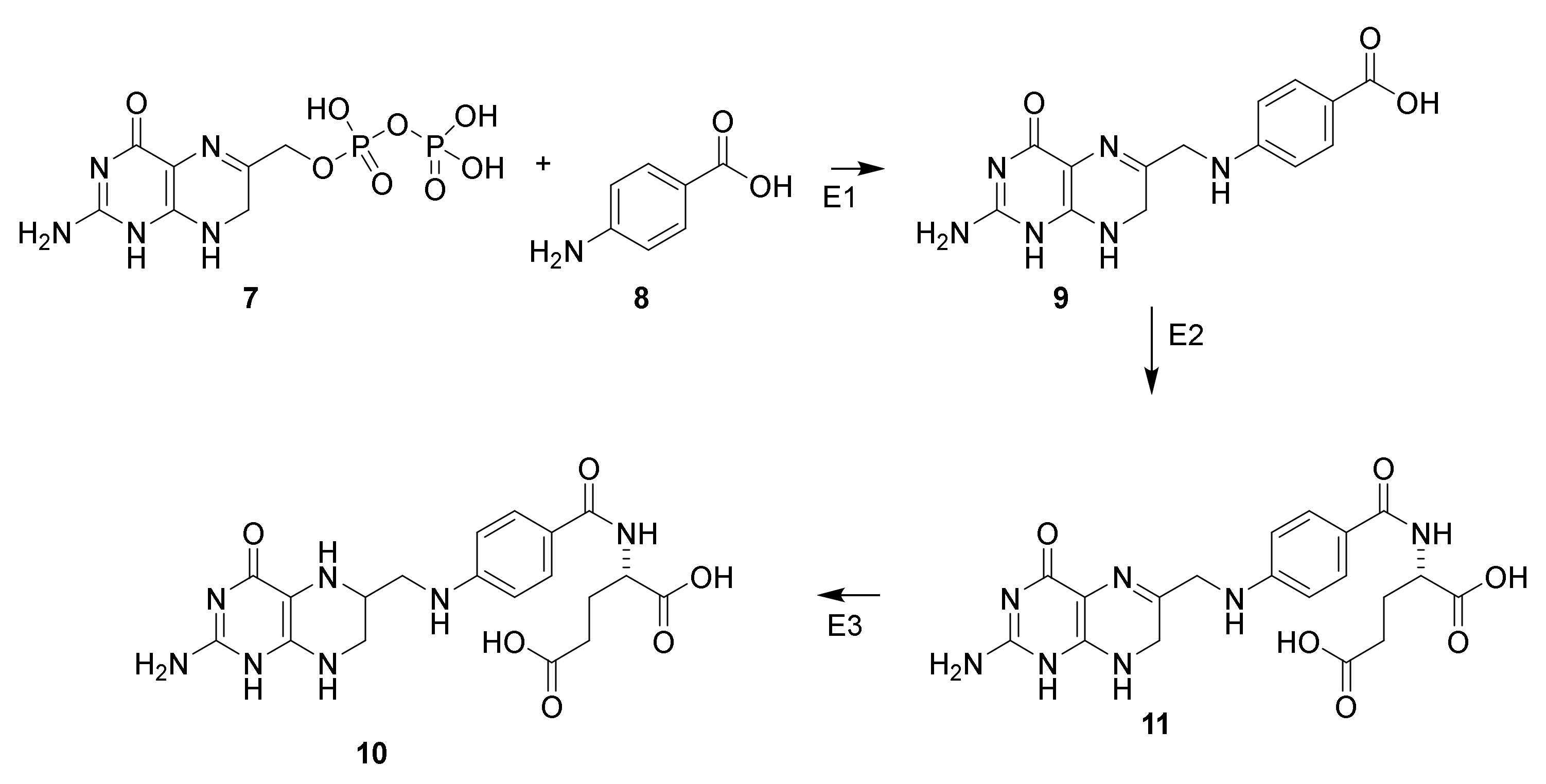 Molecules 26 06057 sch001