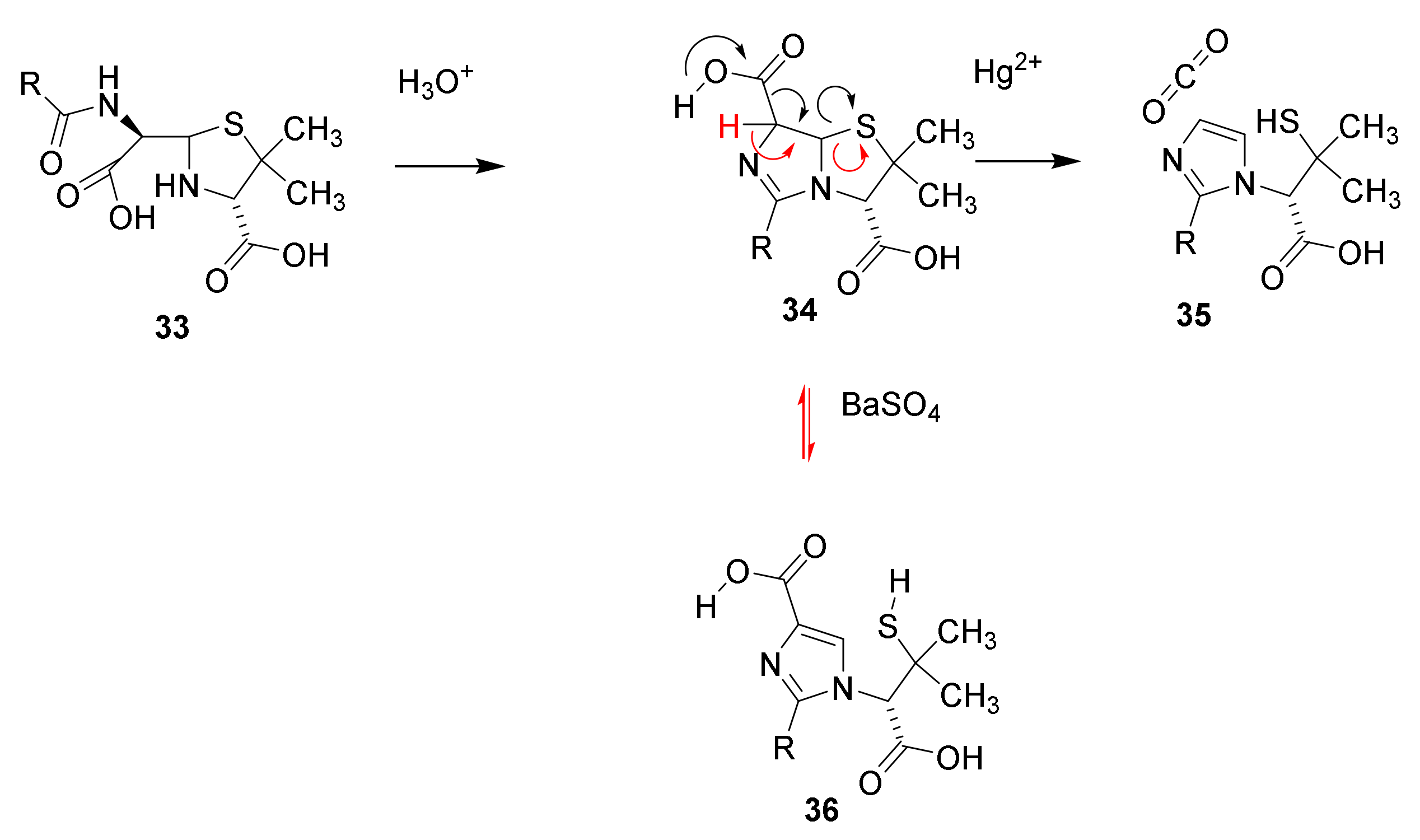 Molecules 26 06057 sch003