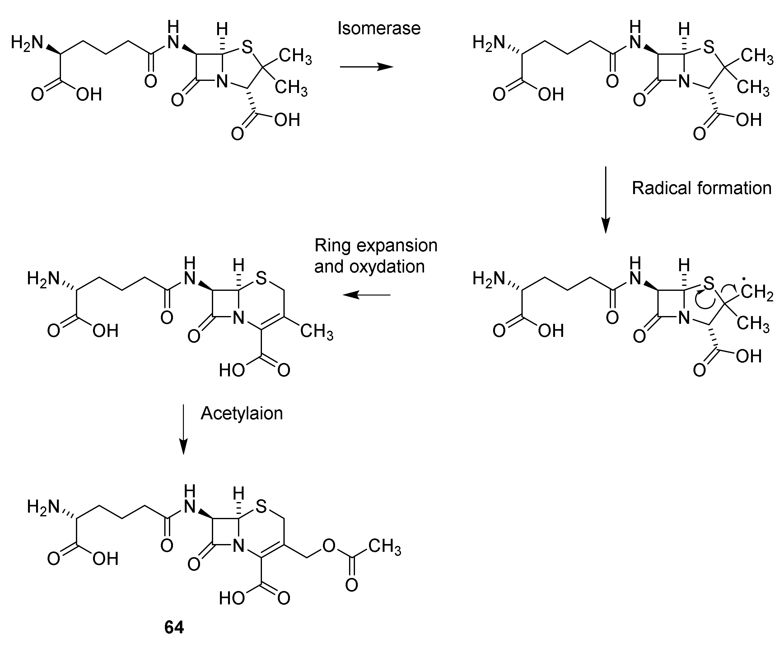 Molecules 26 06057 sch009