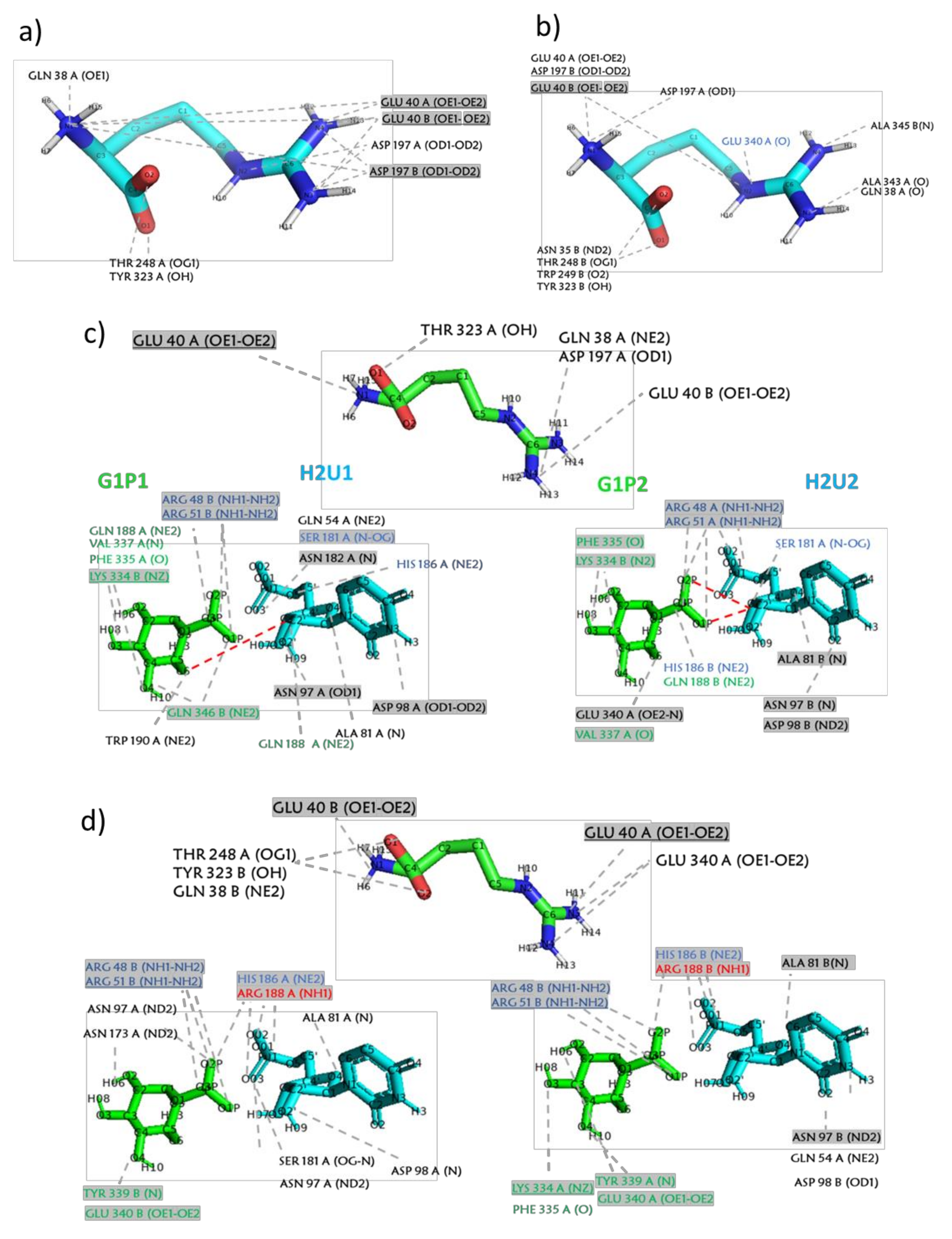 Molecules 26 06061 g005 Molecules 26 06061 g005