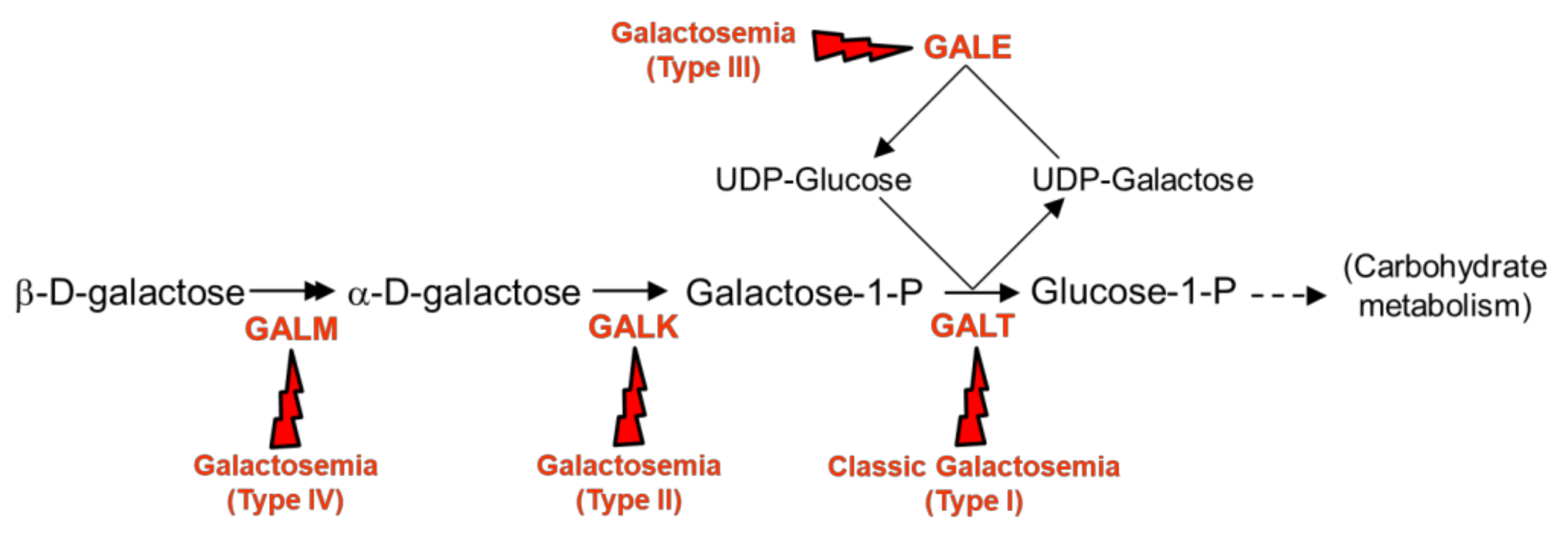 Molecules 26 06061 sch001 Molecules 26 06061 sch001