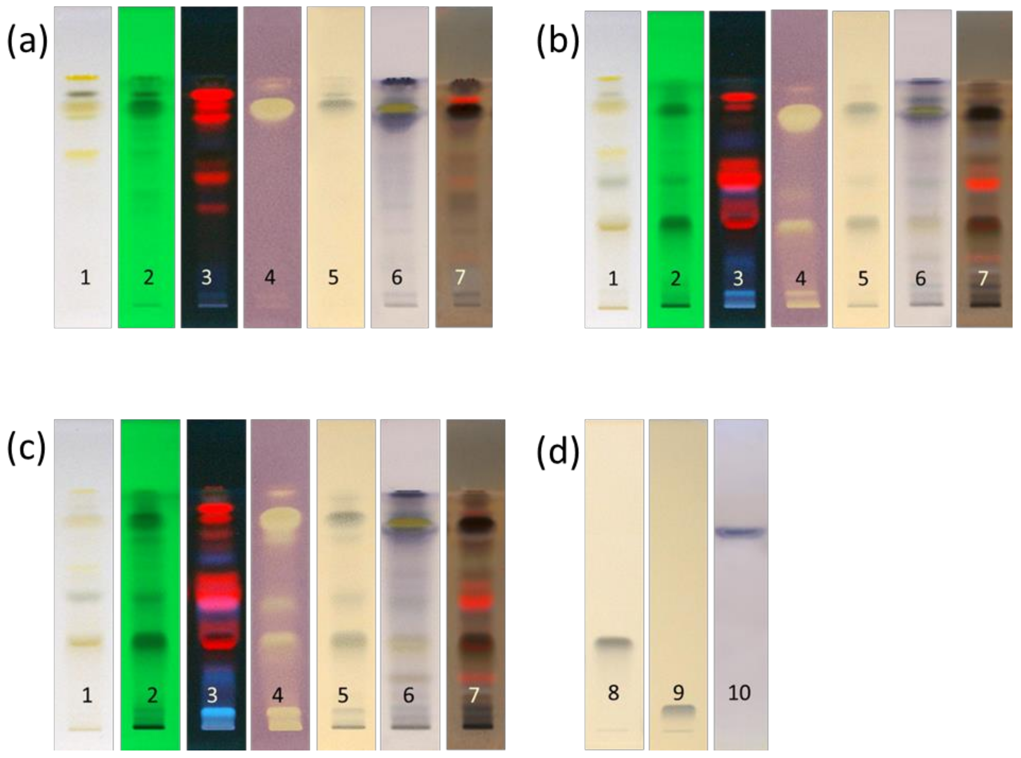 Molecules 26 06064 g001