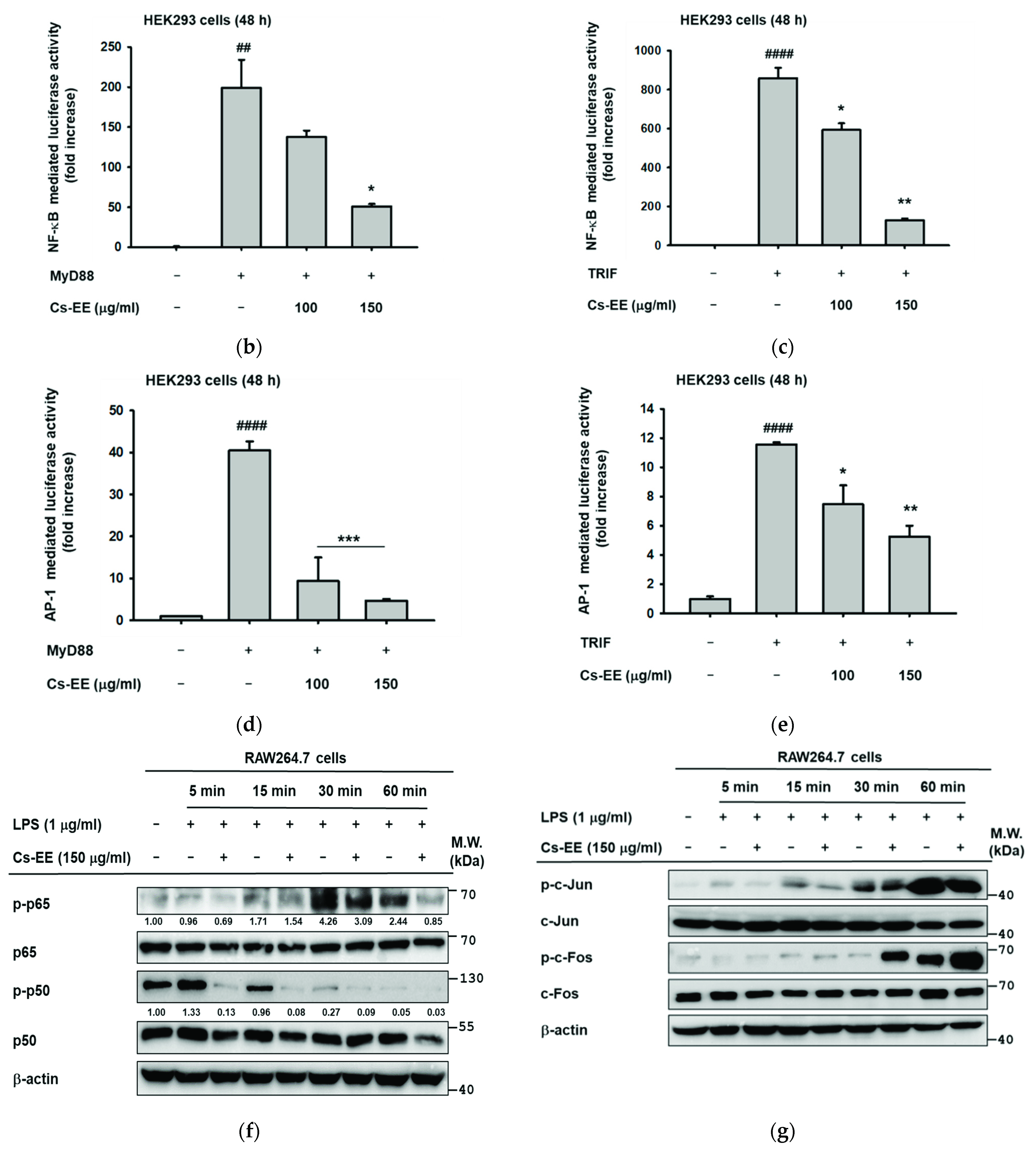 Molecules 26 06073 g003b