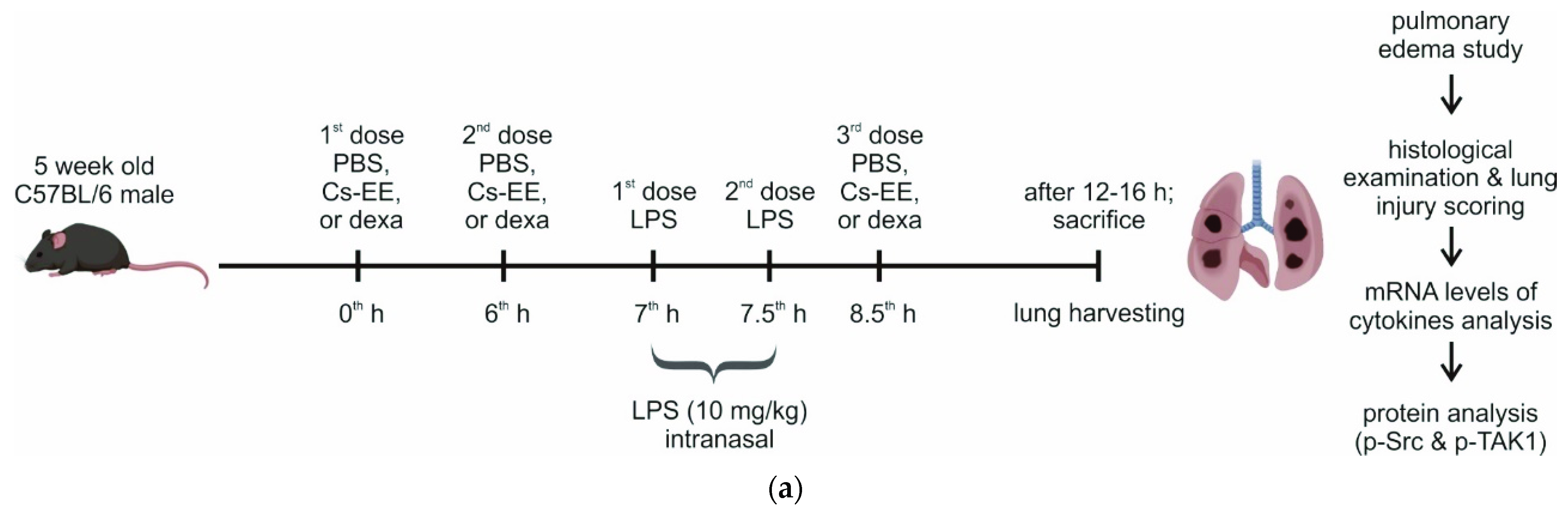 Molecules 26 06073 g007a