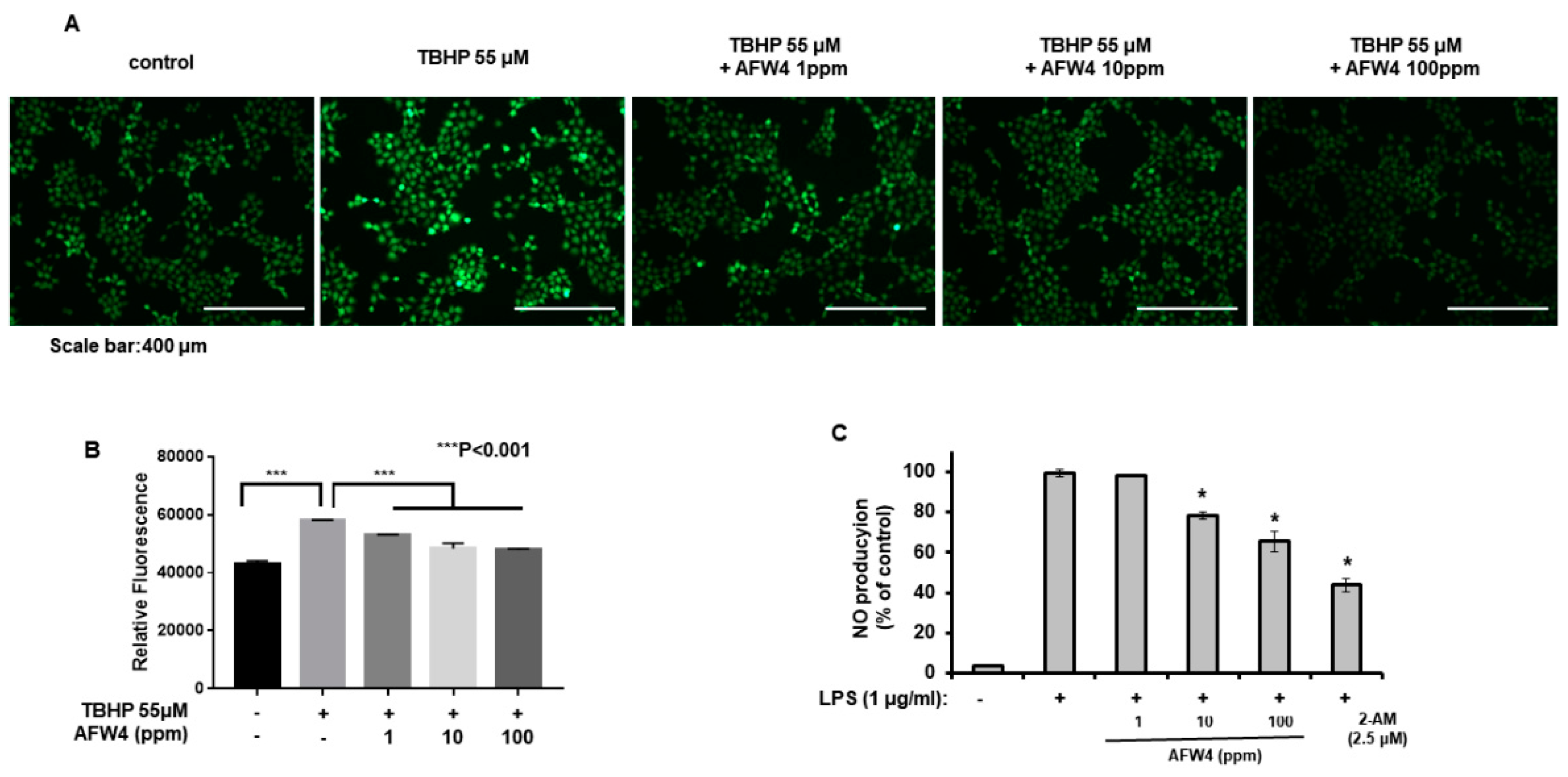 Molecules 26 06074 g007