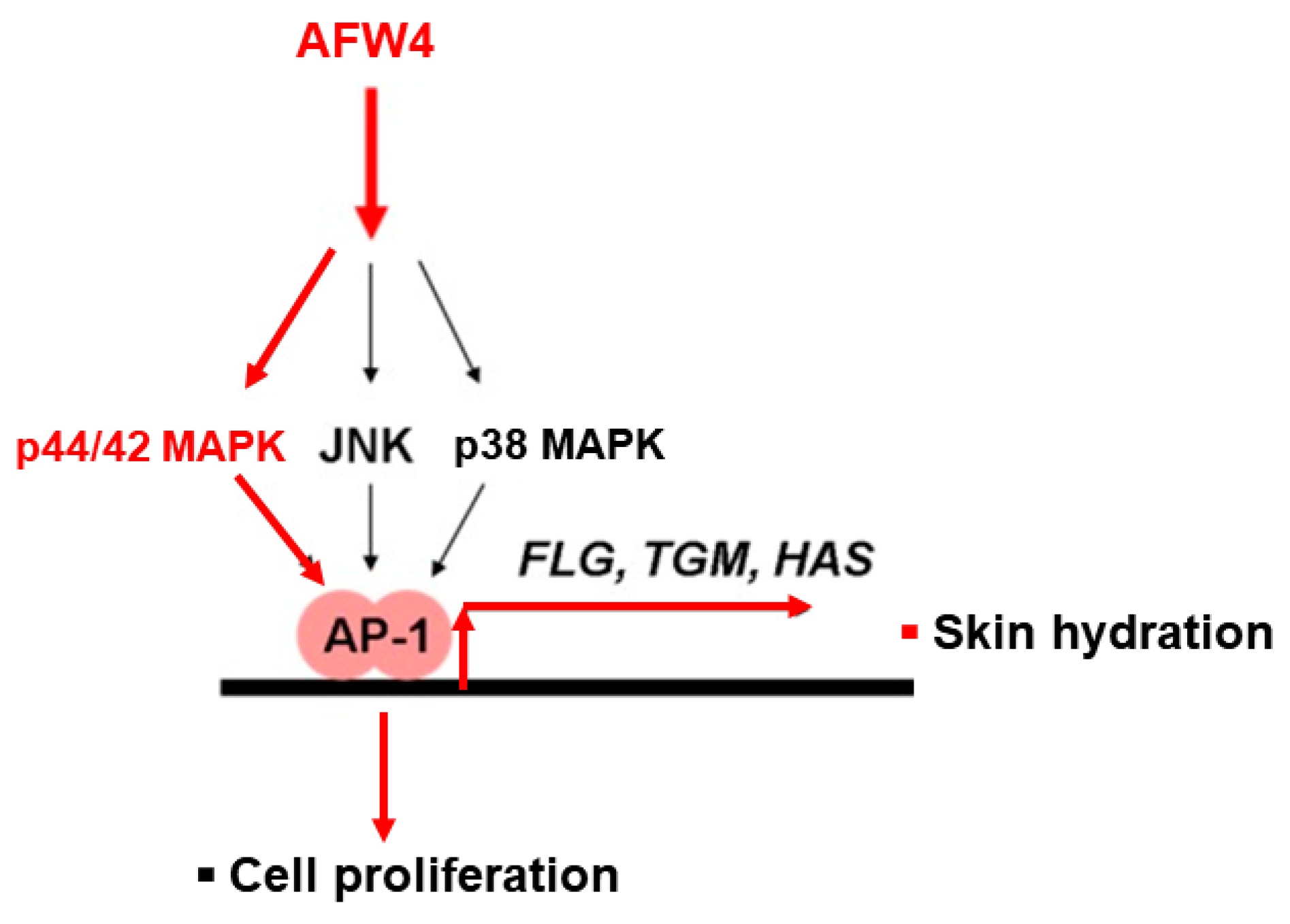 Molecules 26 06074 g008