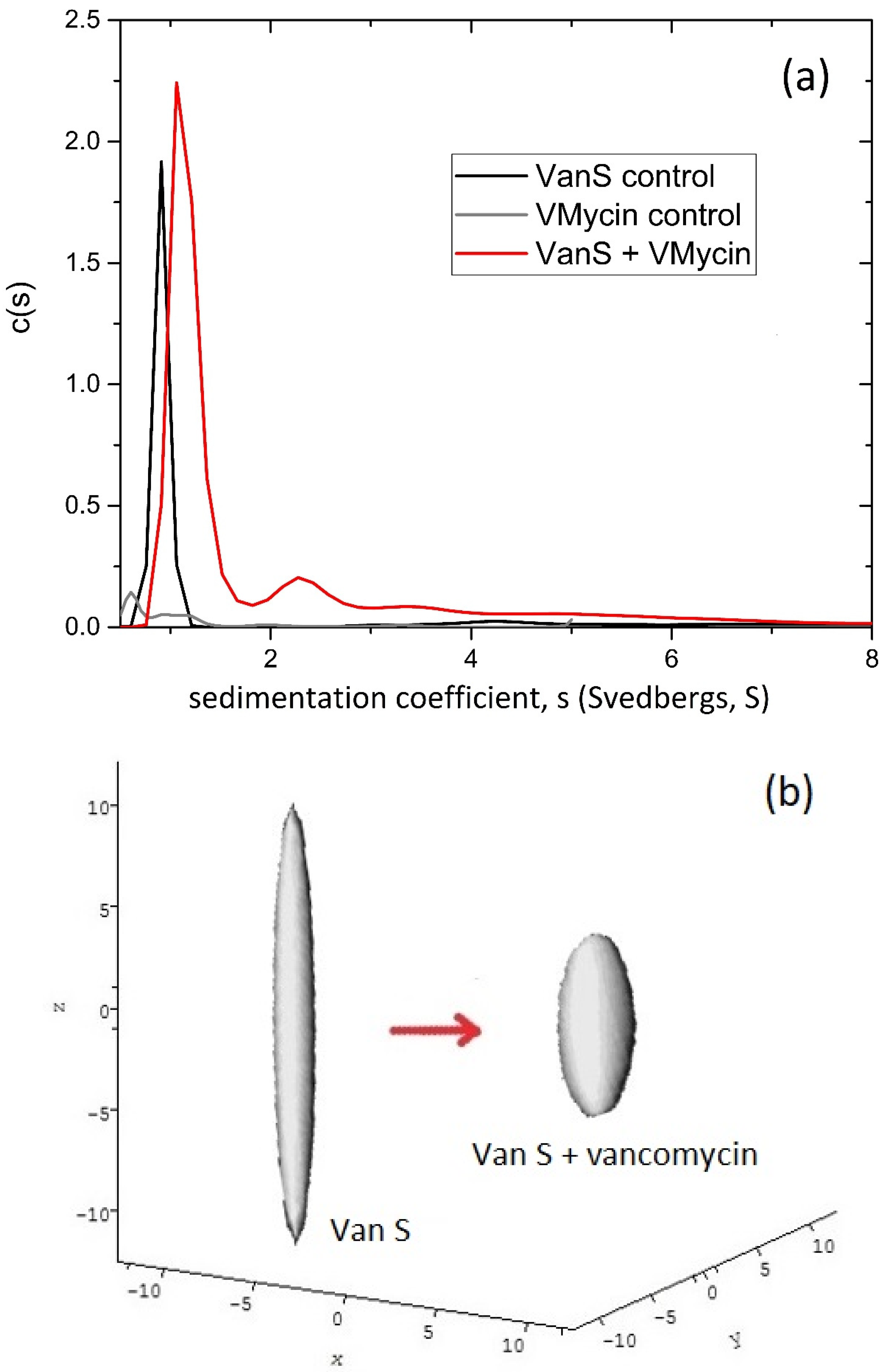 Molecules 26 06080 g001 Molecules 26 06080 g001