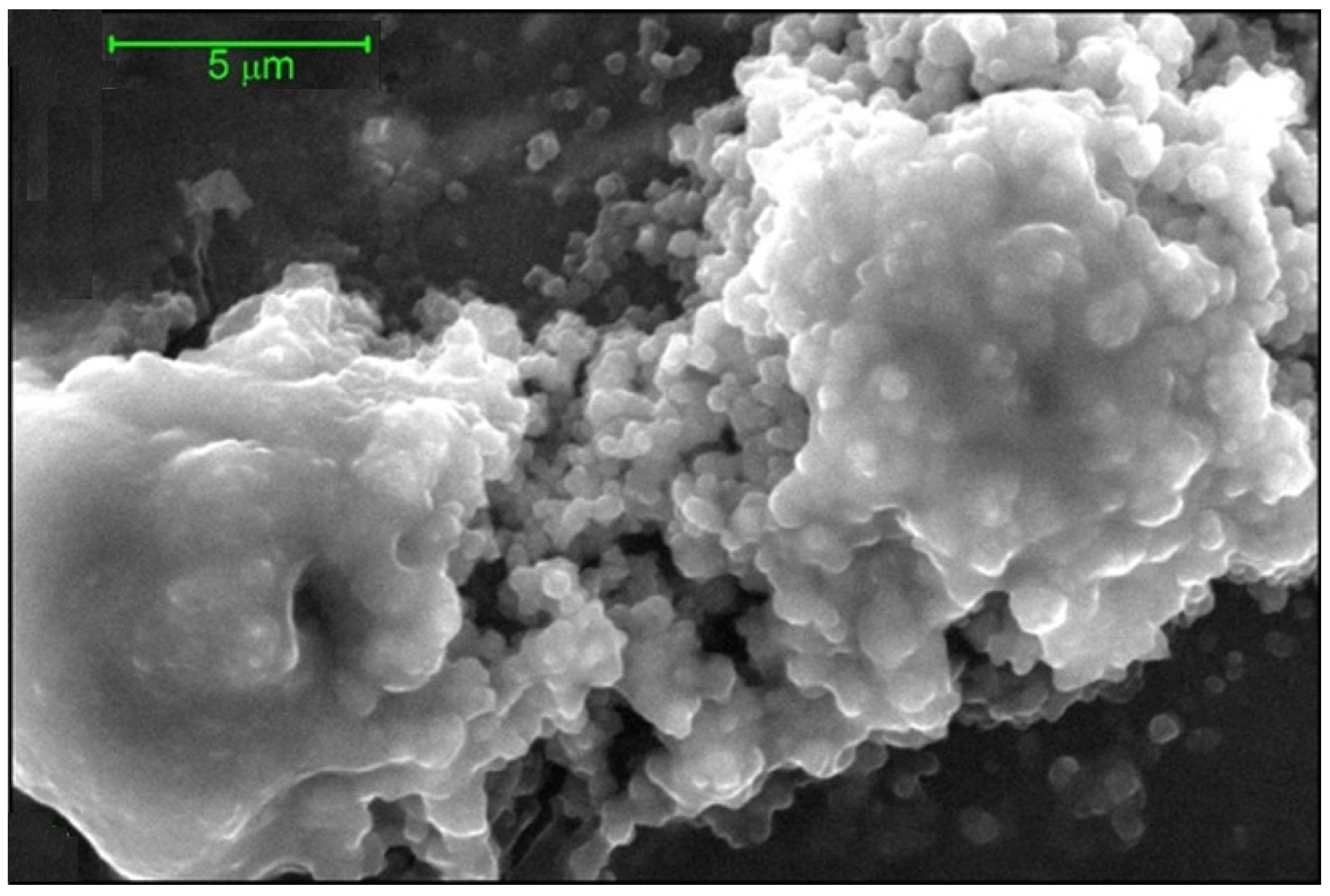 Molecules 26 06080 g008 Molecules 26 06080 g008