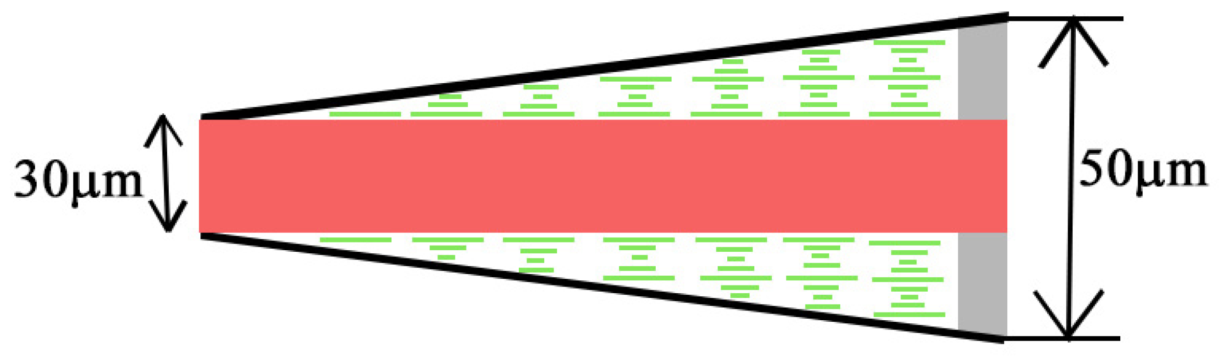 Molecules 26 06089 g001