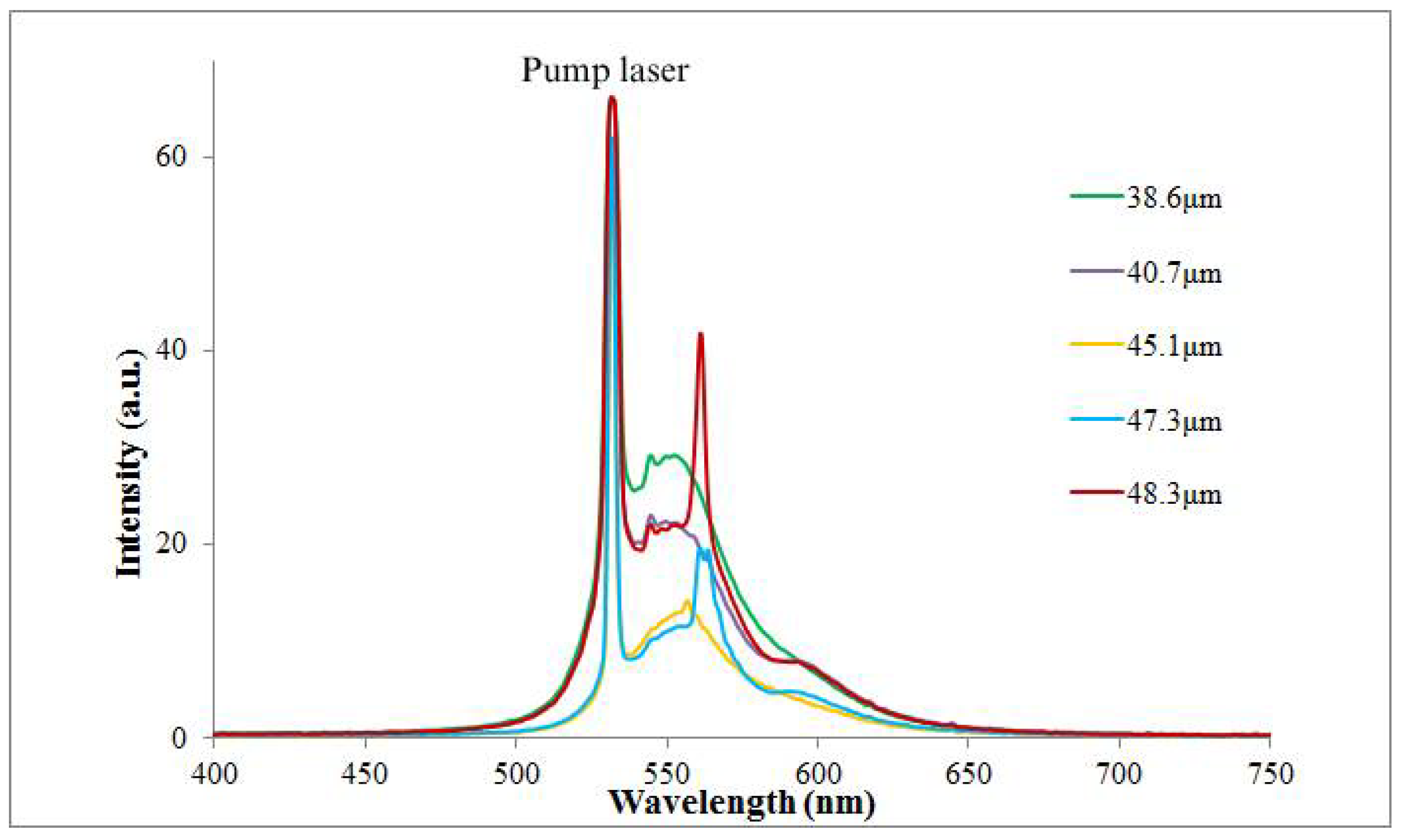 Molecules 26 06089 g006
