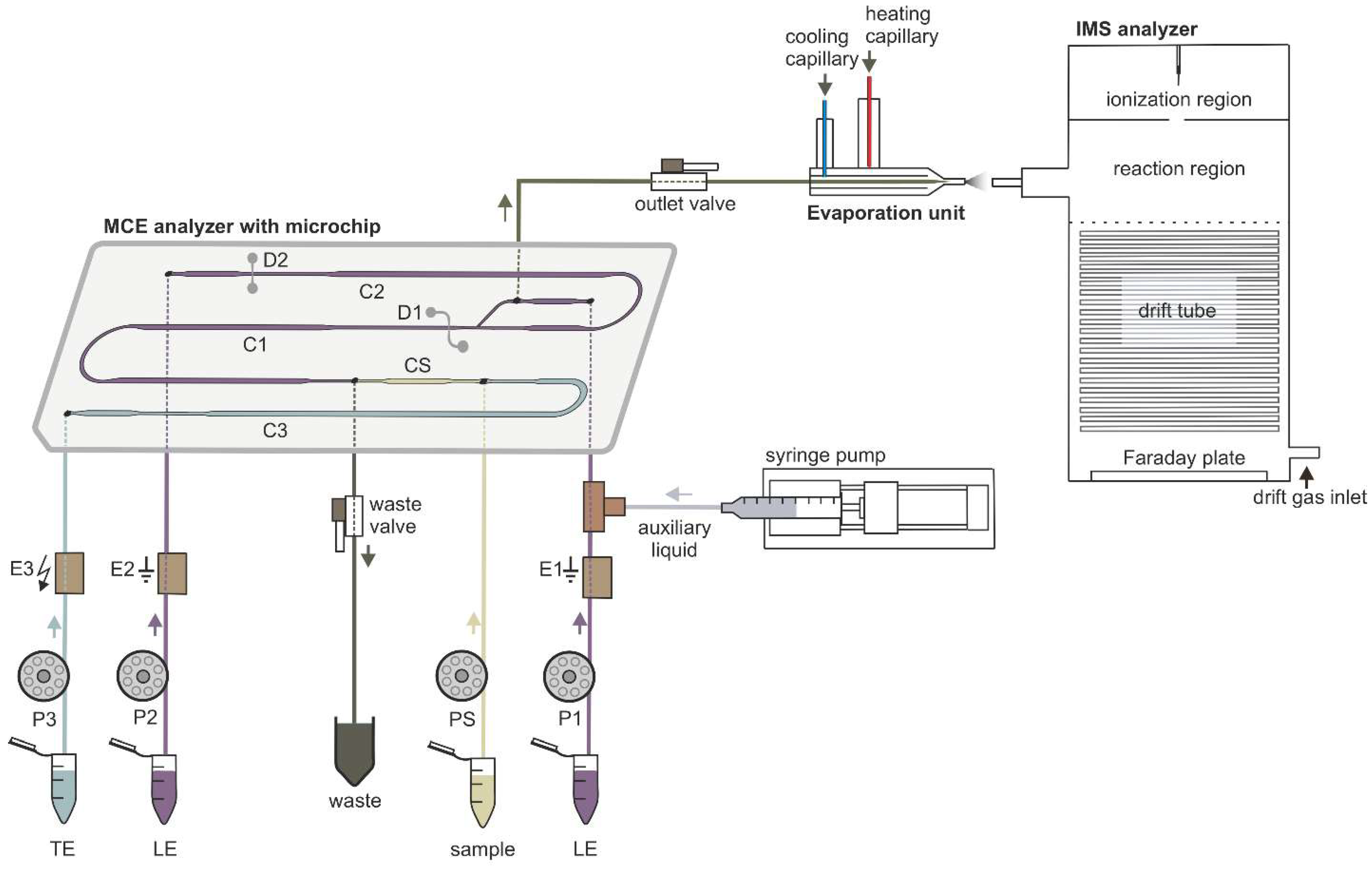 Molecules 26 06094 g001