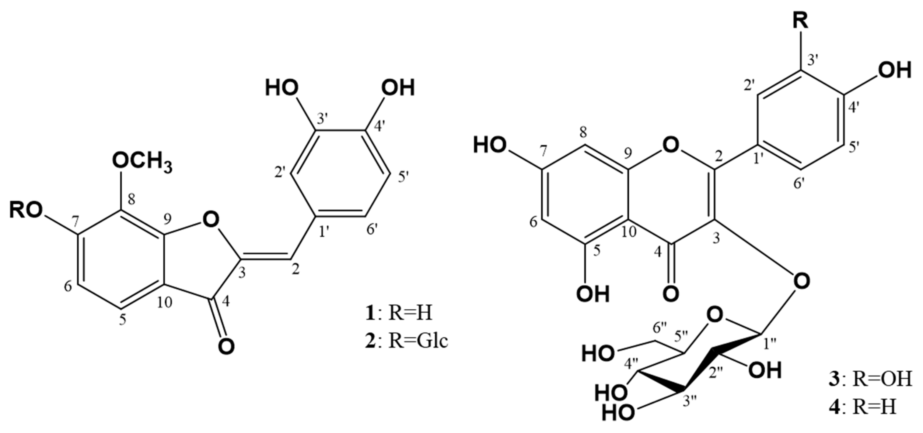 Molecules 26 06098 g001
