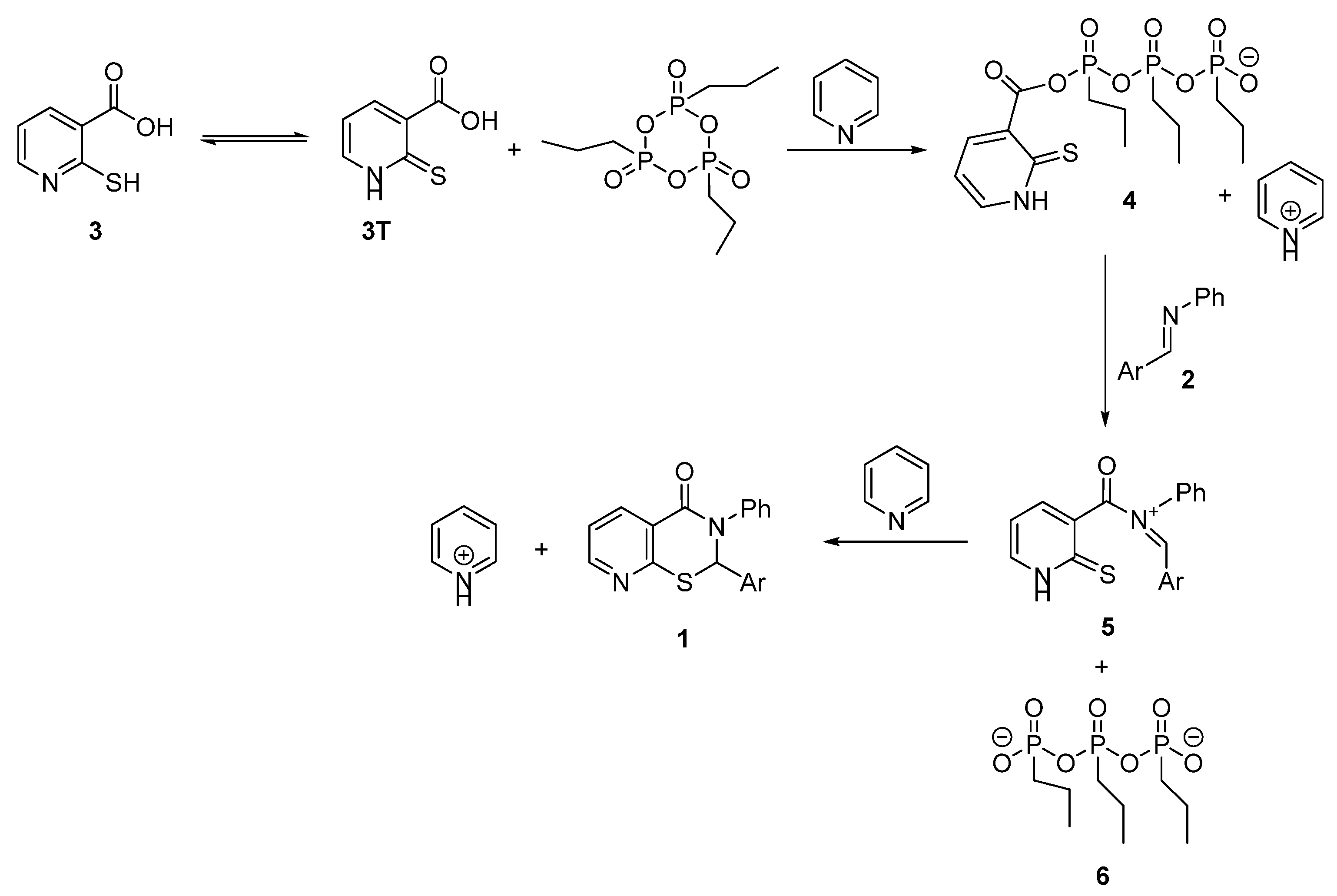 Molecules 26 06099 sch004