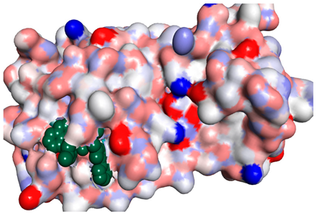 Molecules 26 06103 i004