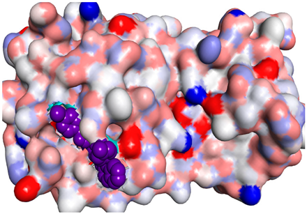 Molecules 26 06103 i010