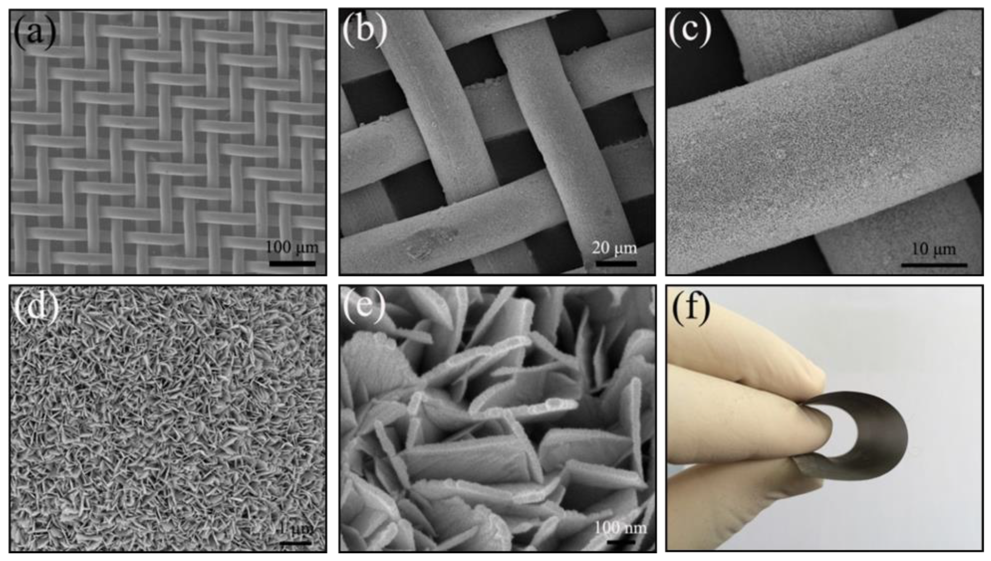 Molecules 26 06108 g004
