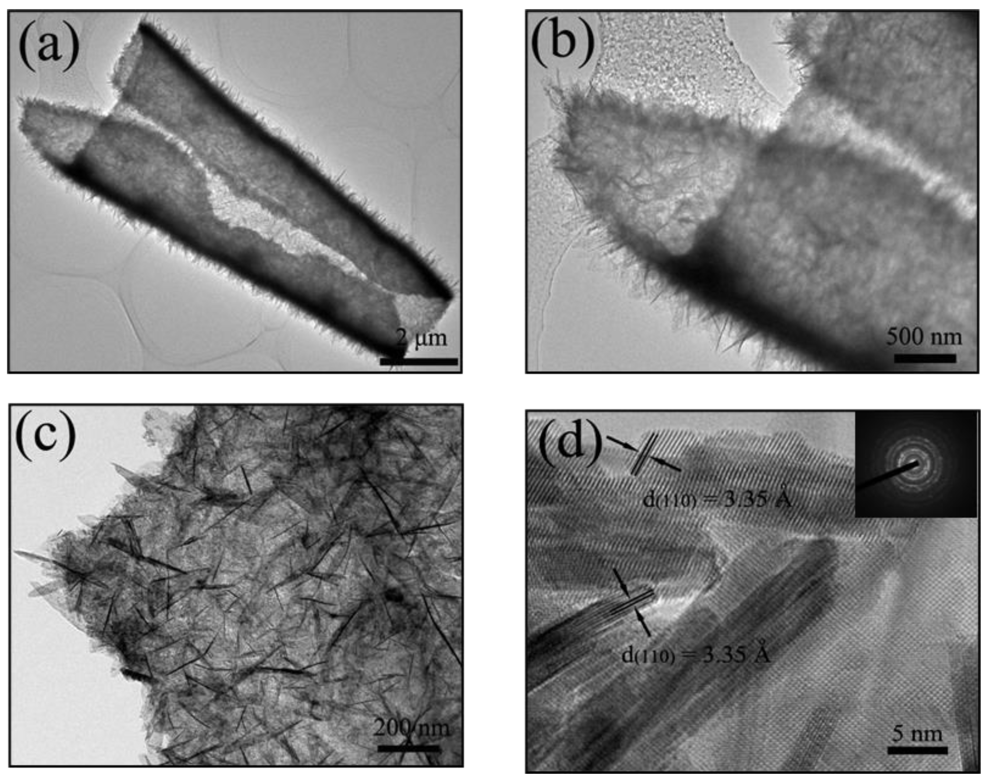 Molecules 26 06108 g005