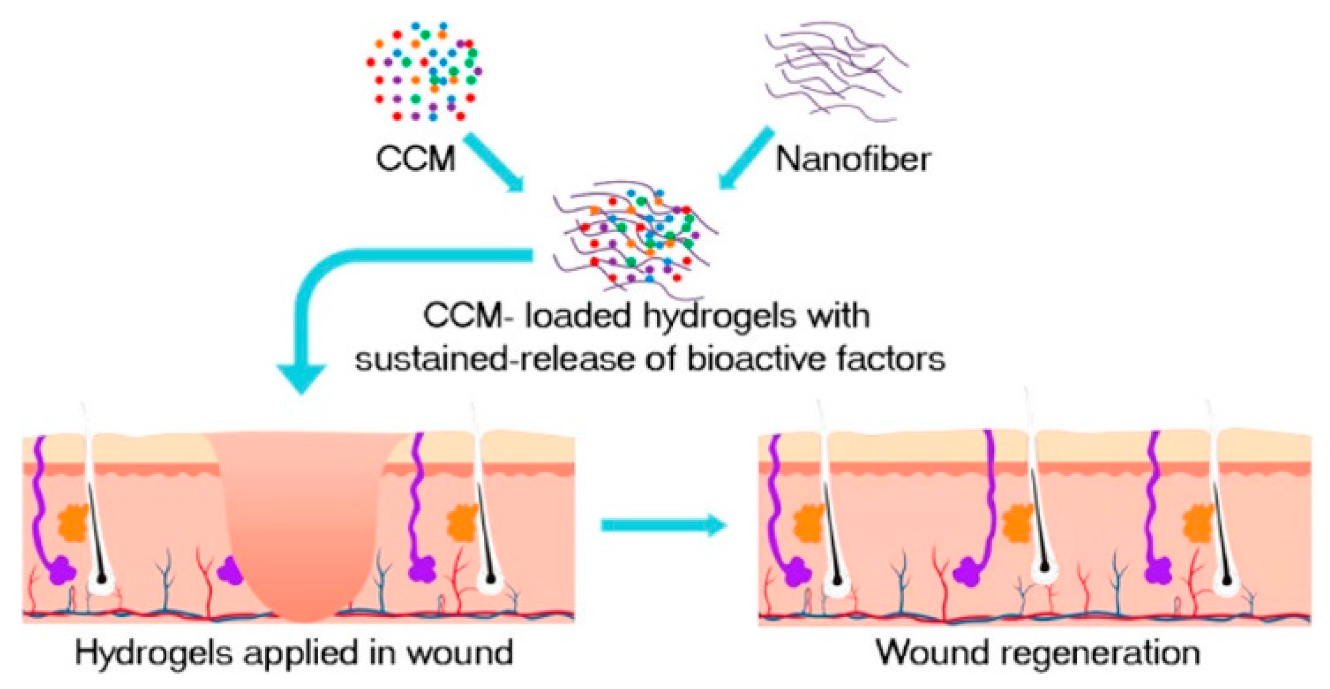Molecules 26 06110 g001