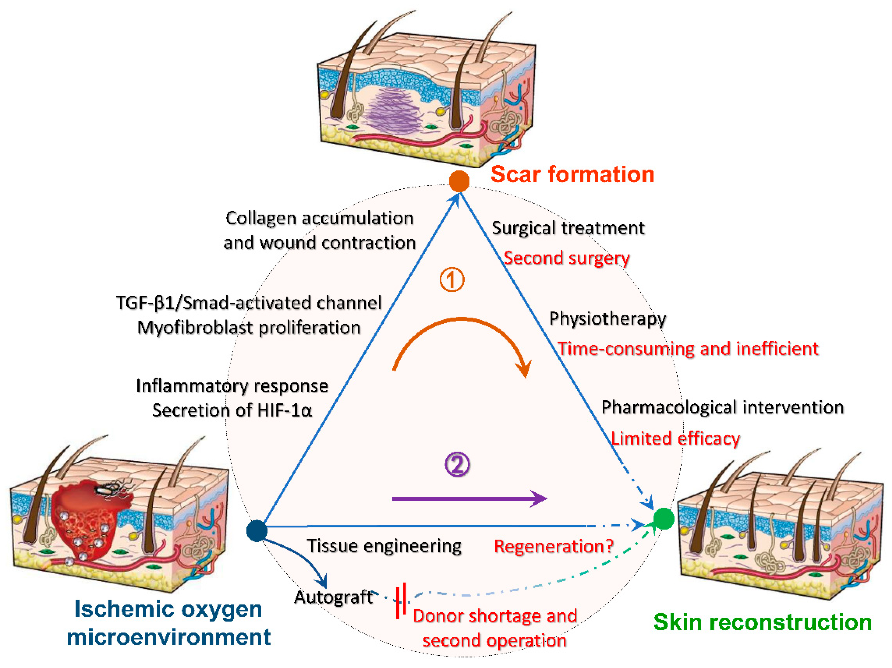 Molecules 26 06110 g003